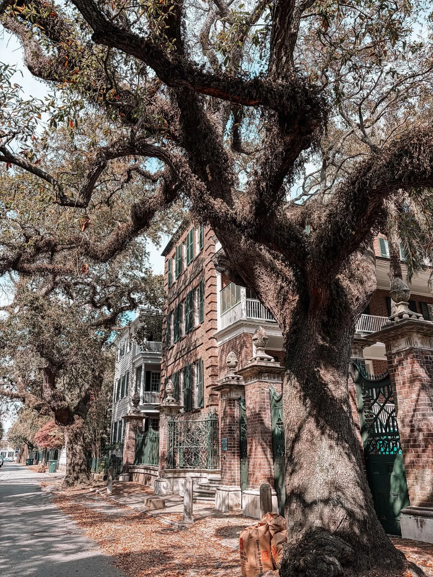 Found inspiration amongst the oaks on this quiet little street&hellip;and a piece of history that inspired another level of magic for my current WIP 🗝️