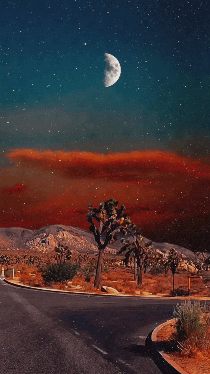 Untitled design (25).gif