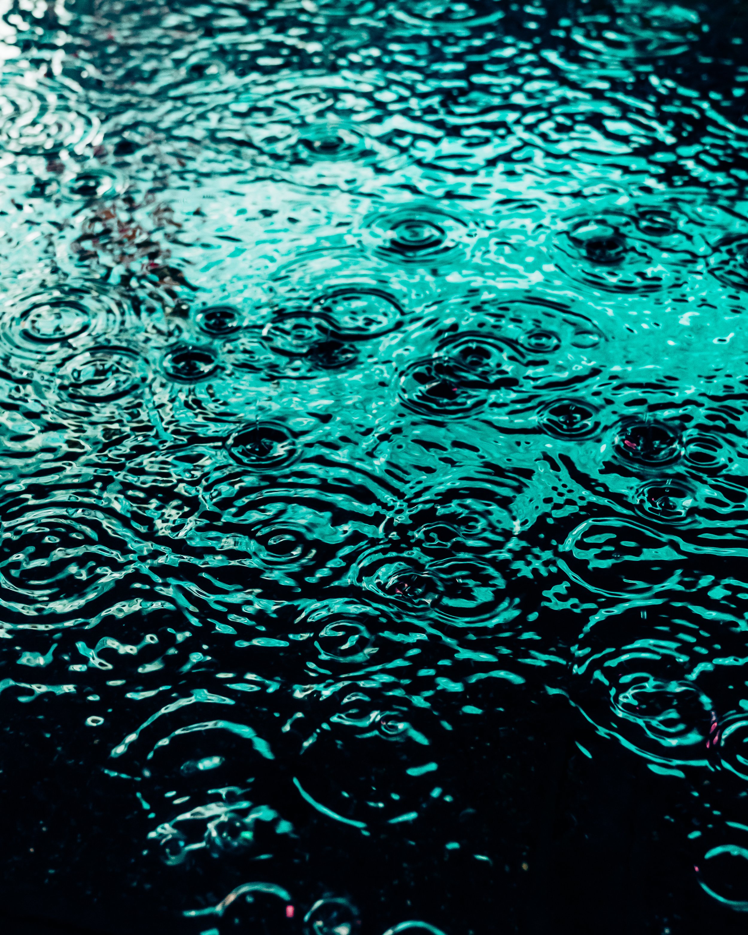 DRIP DROP __ BY DAVE KRUGMAN DRIP #354.jpeg