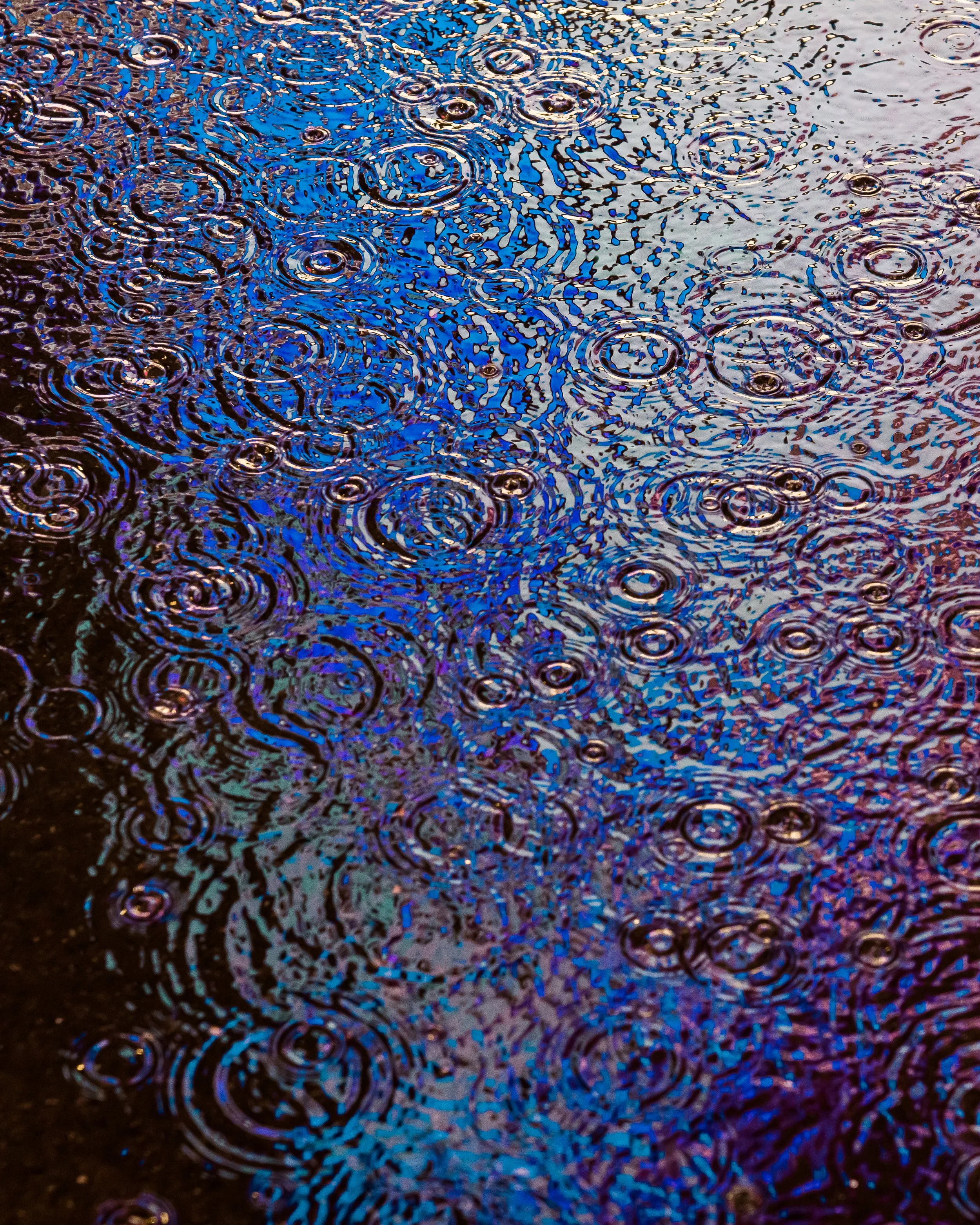 DRIP DROP __ BY DAVE KRUGMAN DRIP #649.jpeg