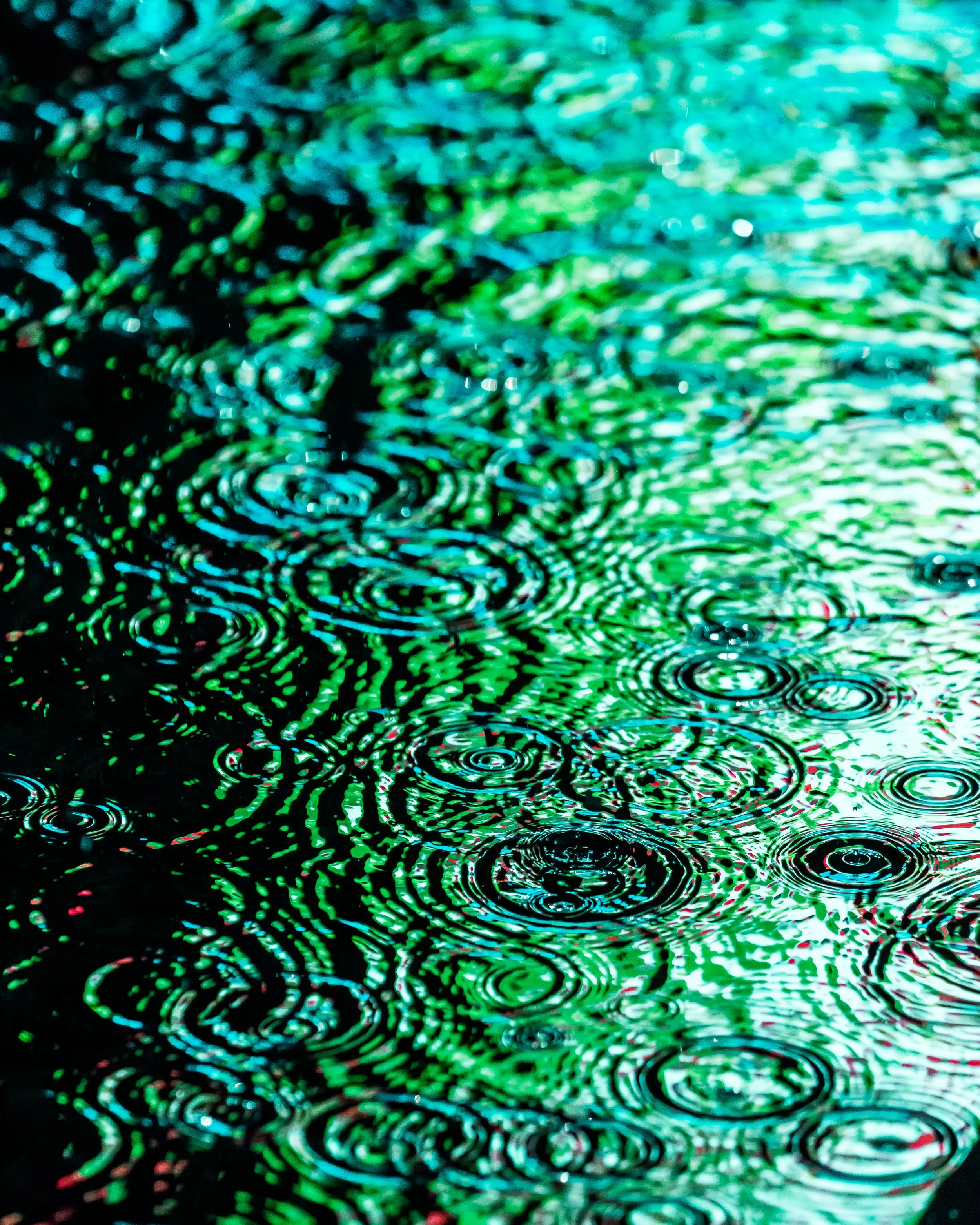 DRIP DROP __ BY DAVE KRUGMAN DRIP #509.jpeg