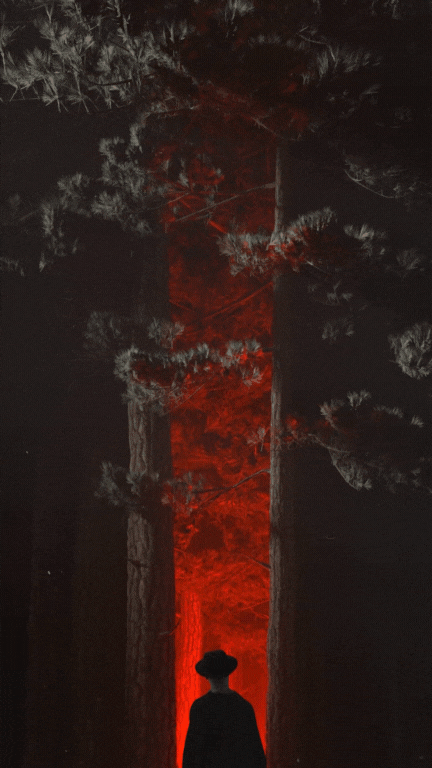 Untitled design (45).gif