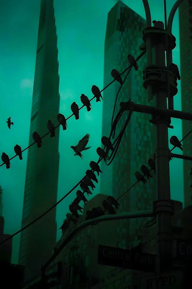 RAYLIVEZ - HITCHCOCK.jpg