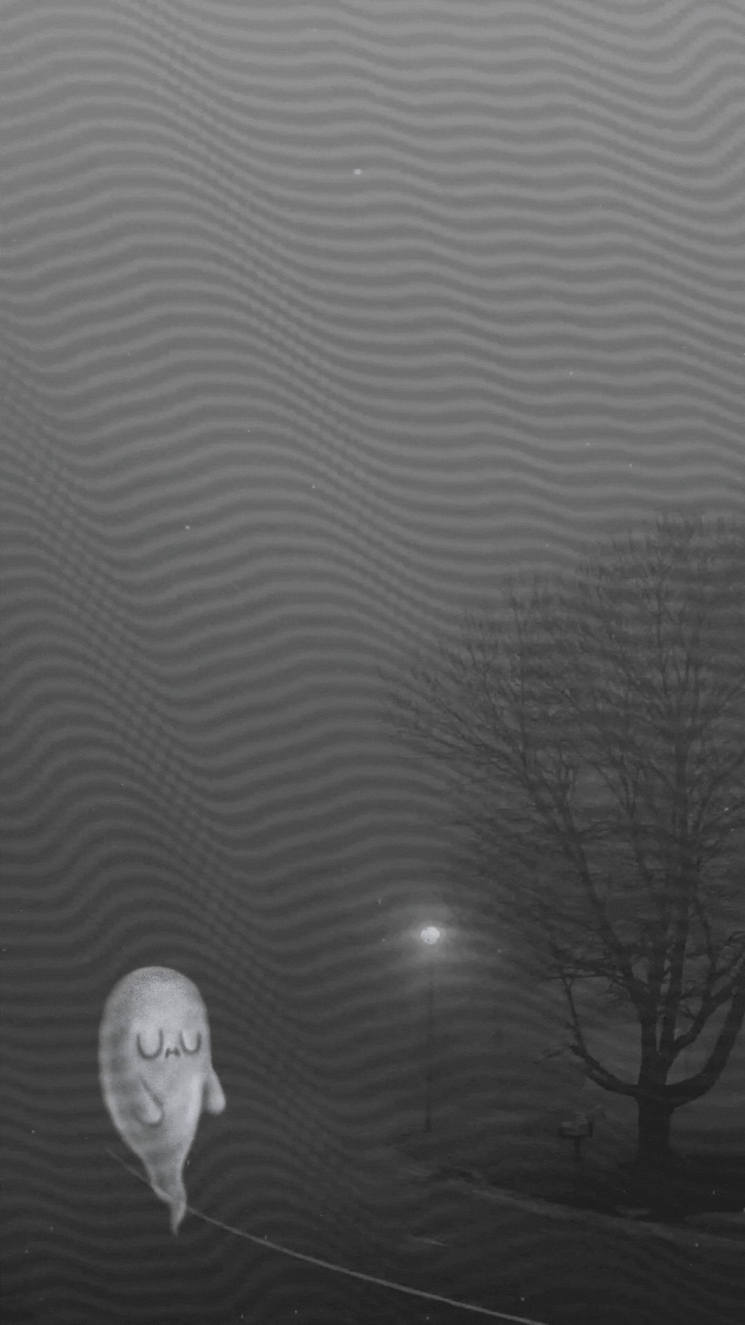 Untitled design (22).gif