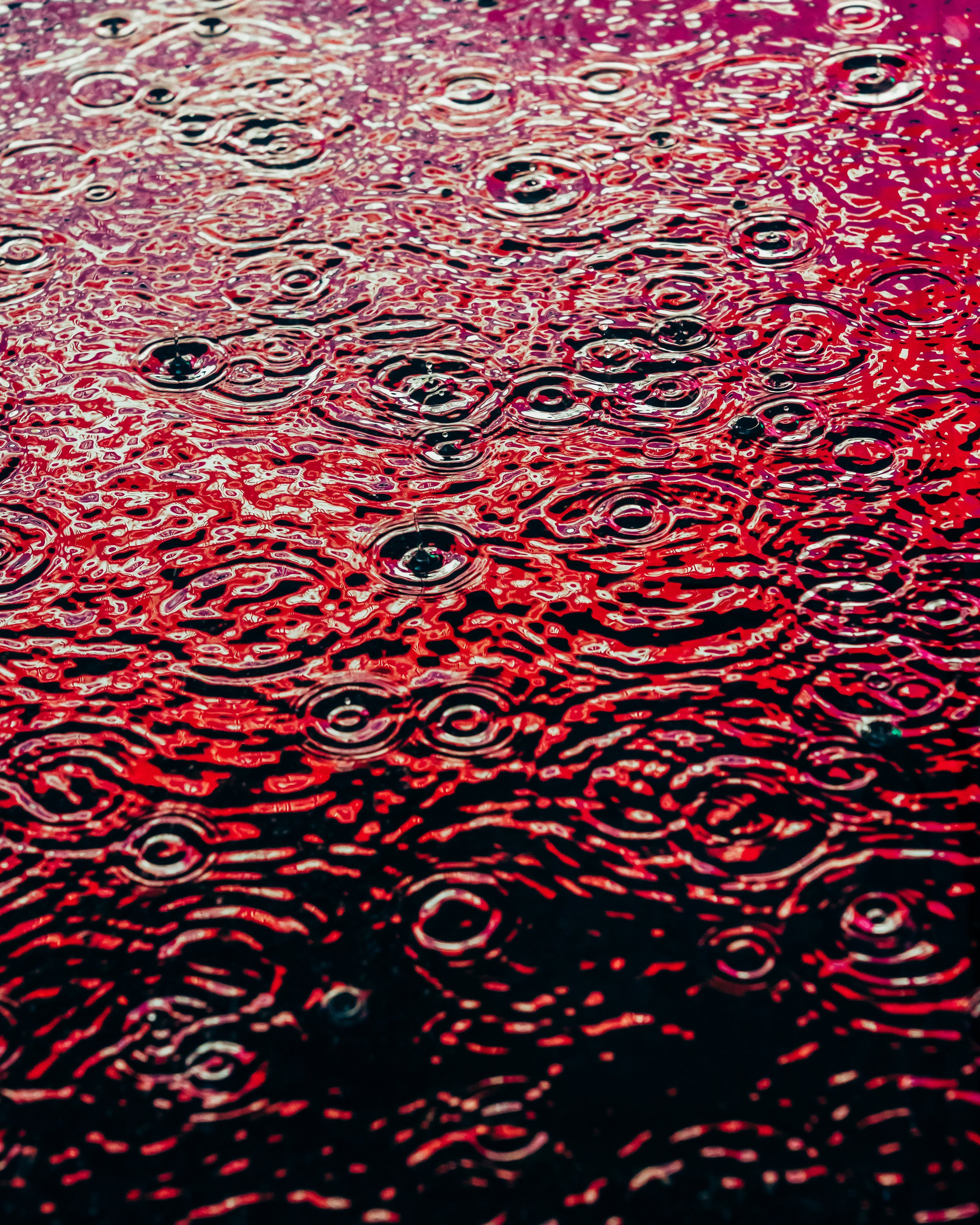 DRIP DROP __ BY DAVE KRUGMAN DRIP #583.jpeg