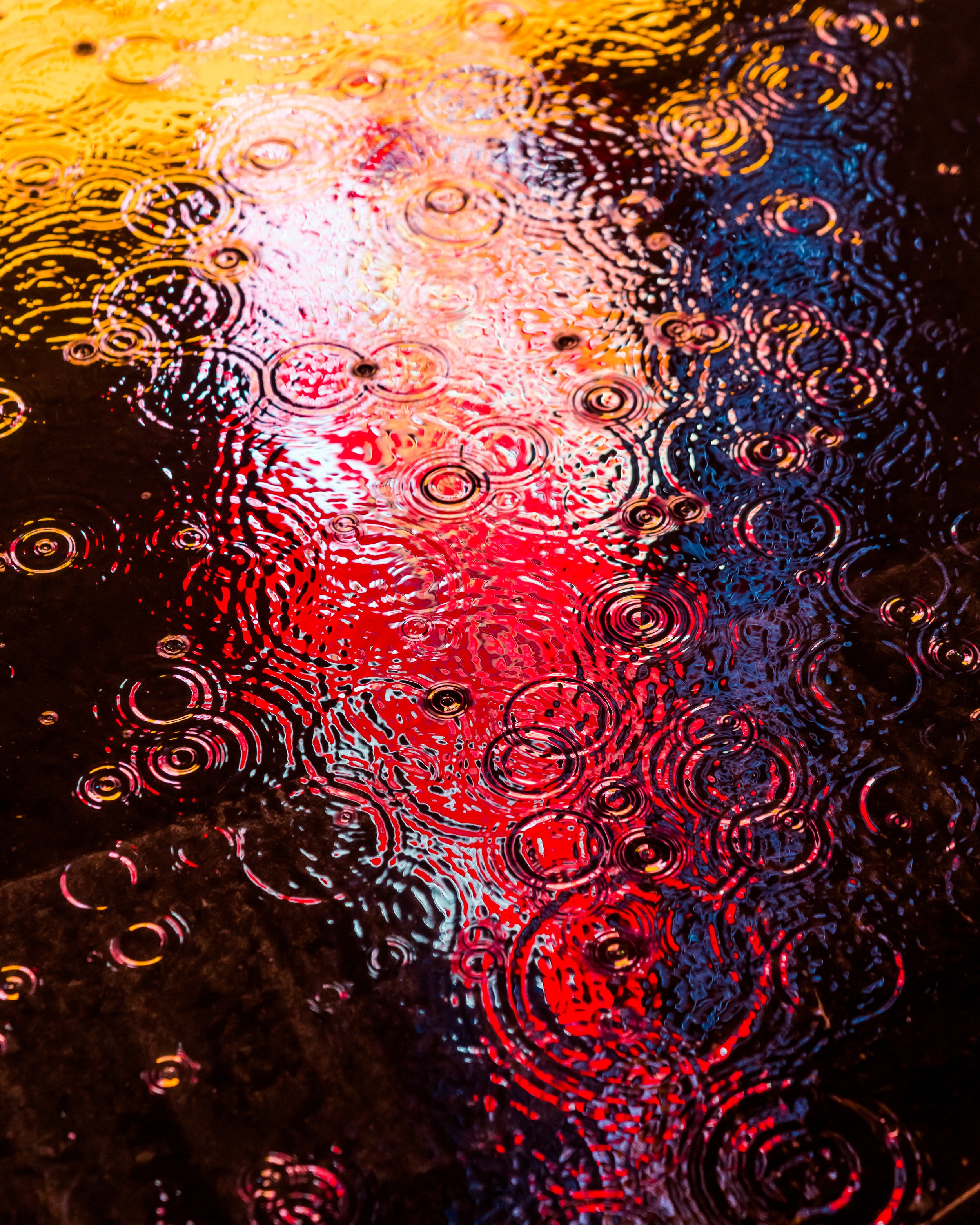 DRIP DROP __ BY DAVE KRUGMAN DRIP #710.jpeg