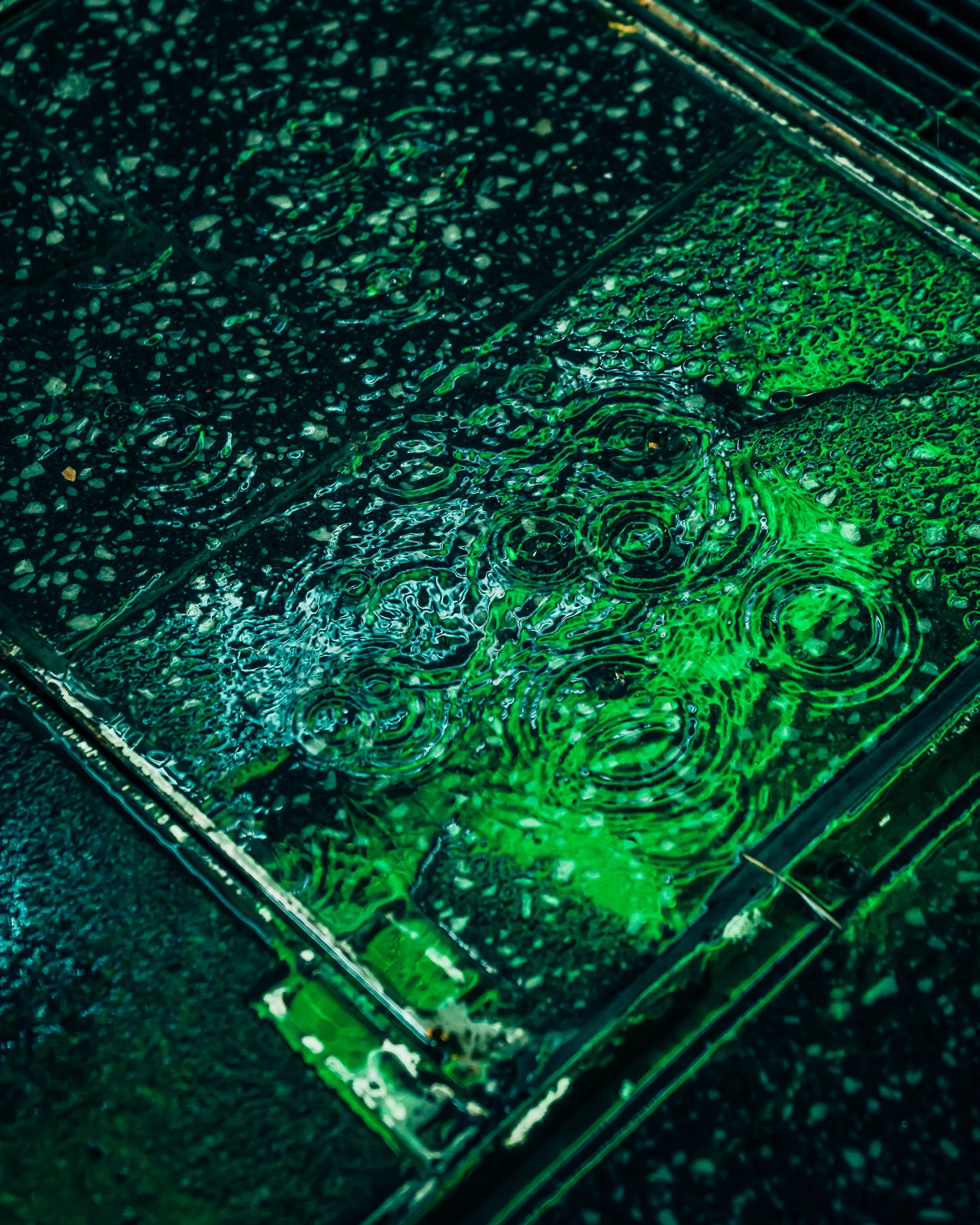 DRIP DROP __ BY DAVE KRUGMAN DRIP #646.jpeg