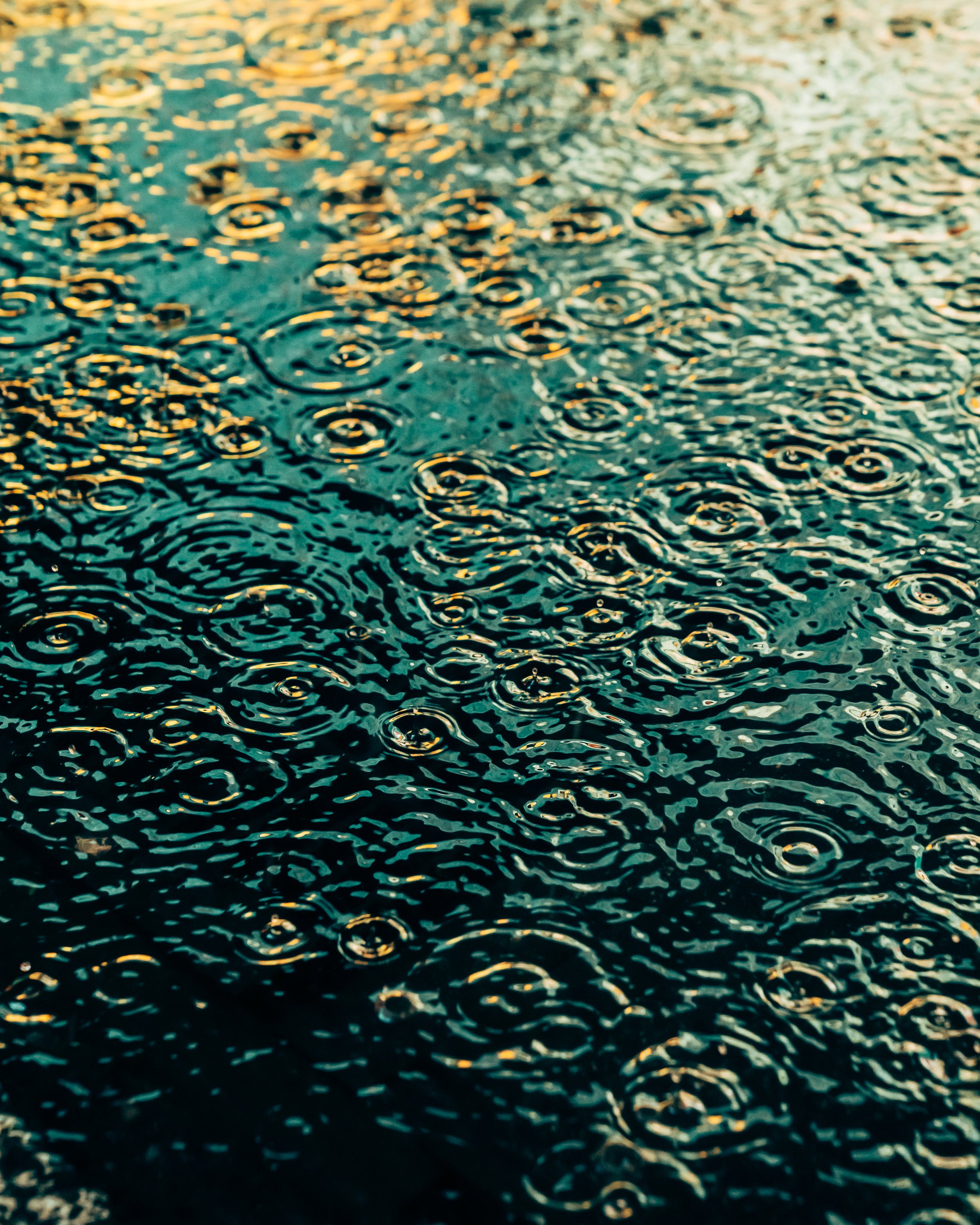 DRIP DROP __ BY DAVE KRUGMAN DRIP #40.jpeg