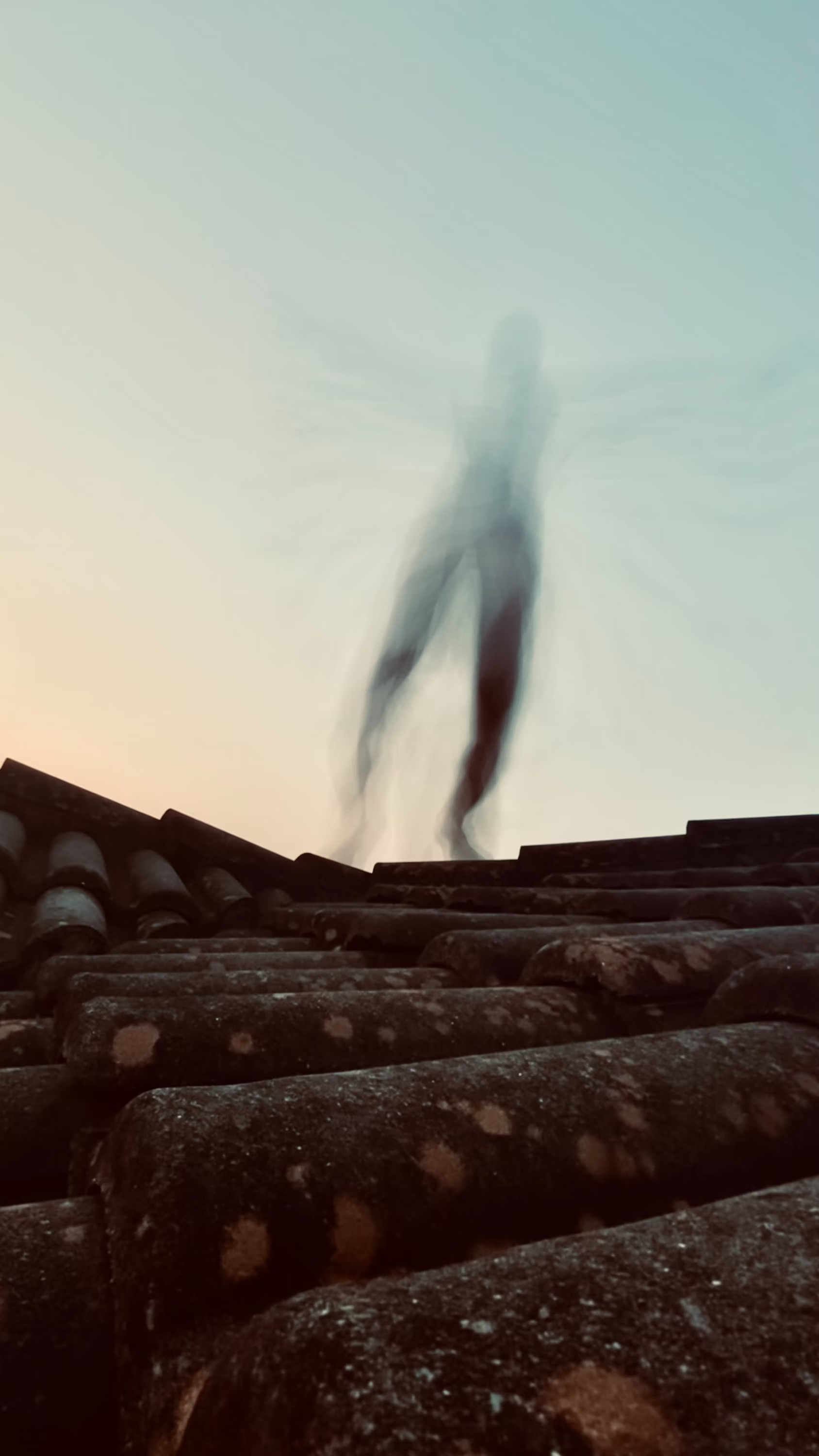 HUGO FAZ - Upload.png