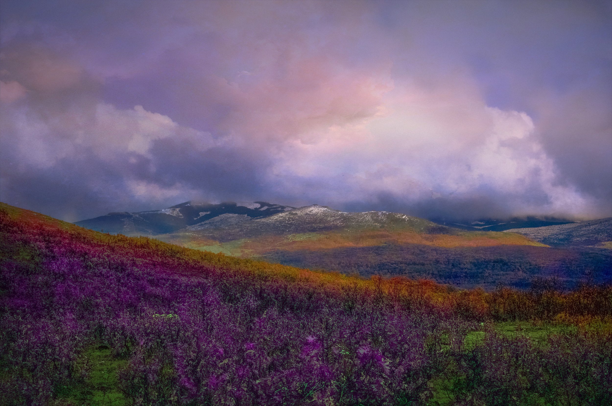 Samantha Cavet - Prisma.jpeg