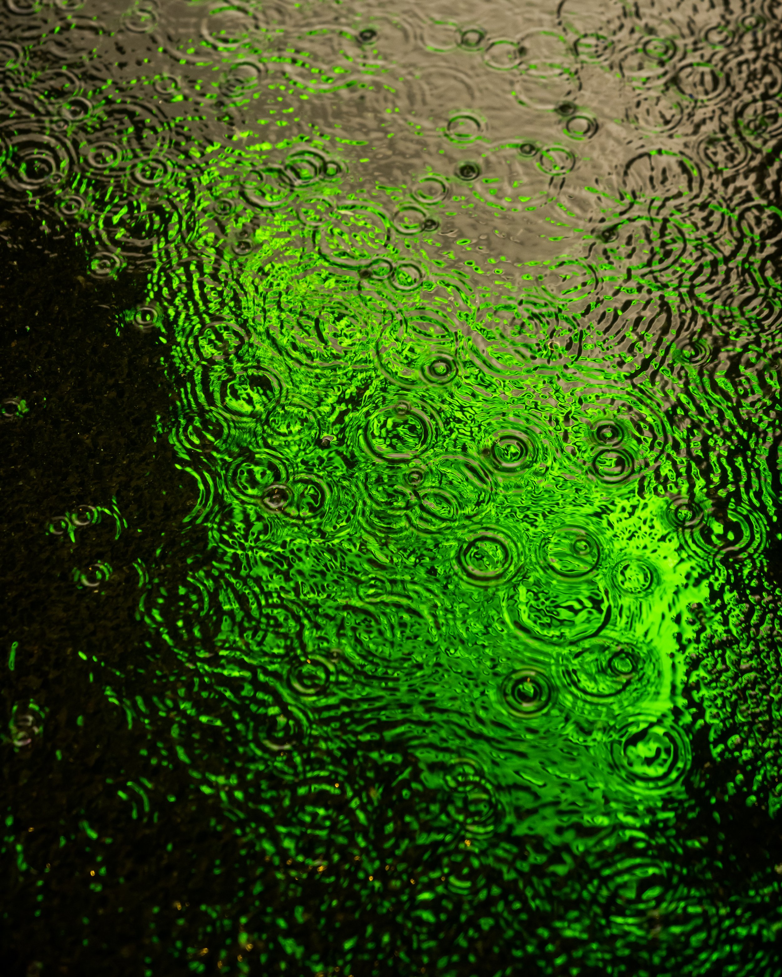 DRIP DROP __ BY DAVE KRUGMAN DRIP #305.jpeg