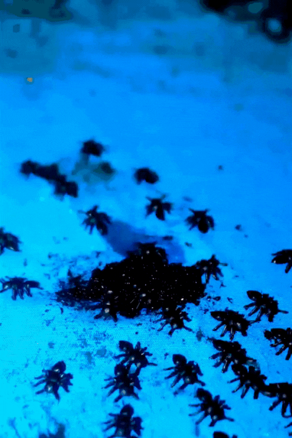 letting it go.mp4.gif