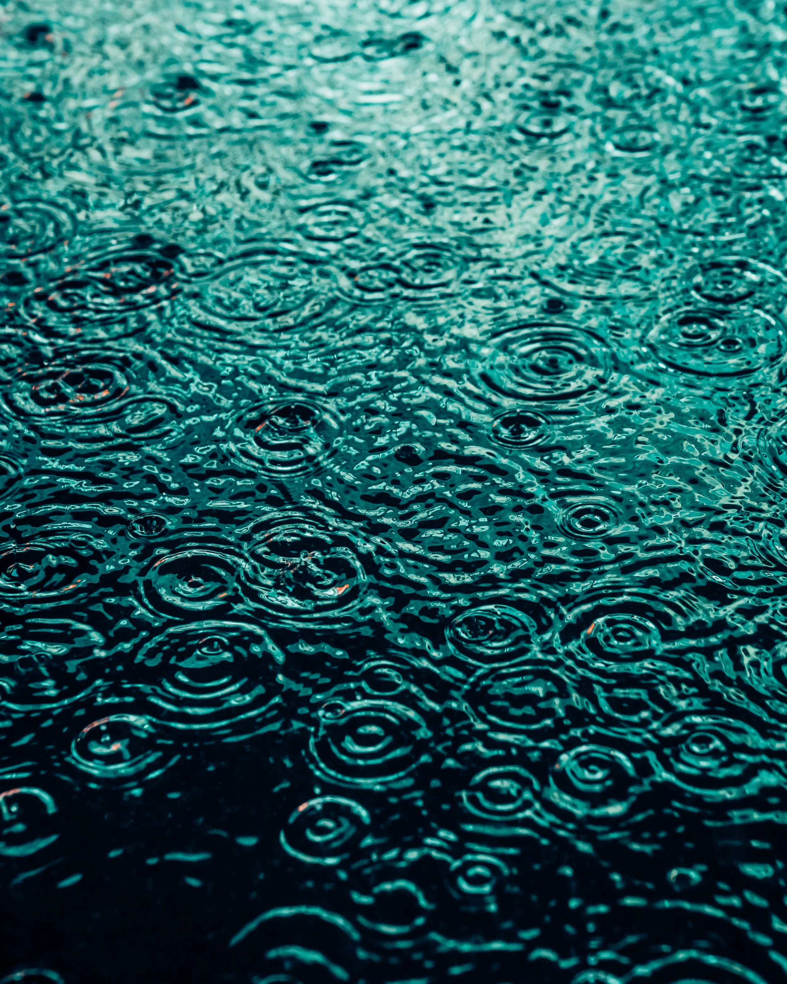 DRIP DROP __ BY DAVE KRUGMAN DRIP #190.jpeg