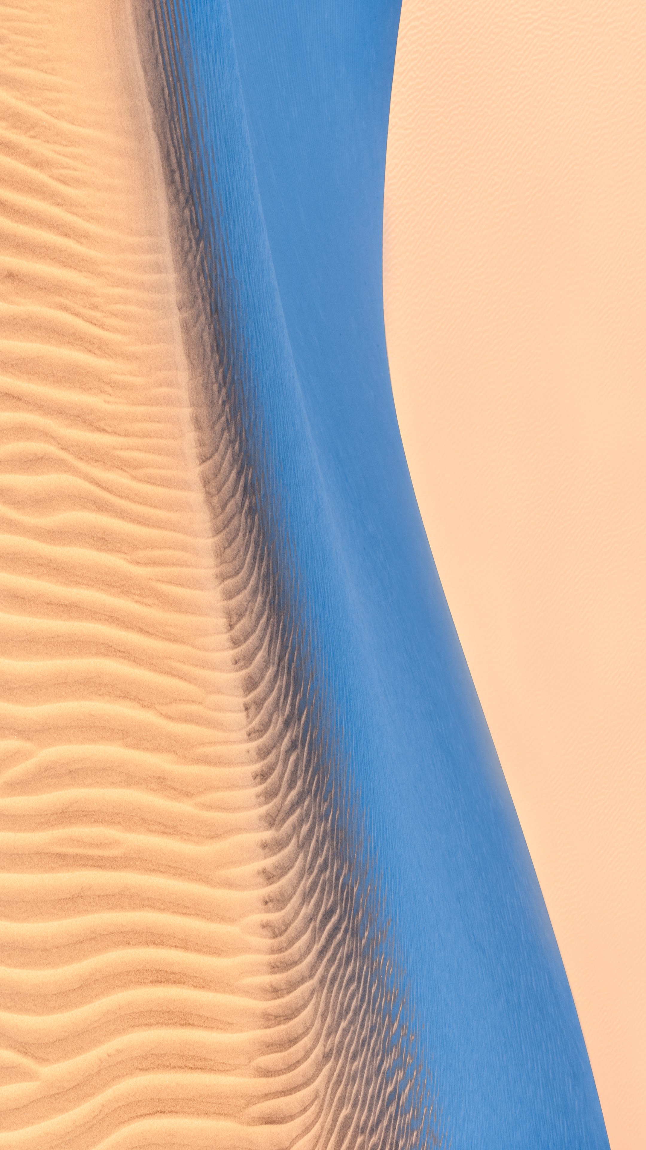 Tara in Abstract - Alter Ego.jpeg