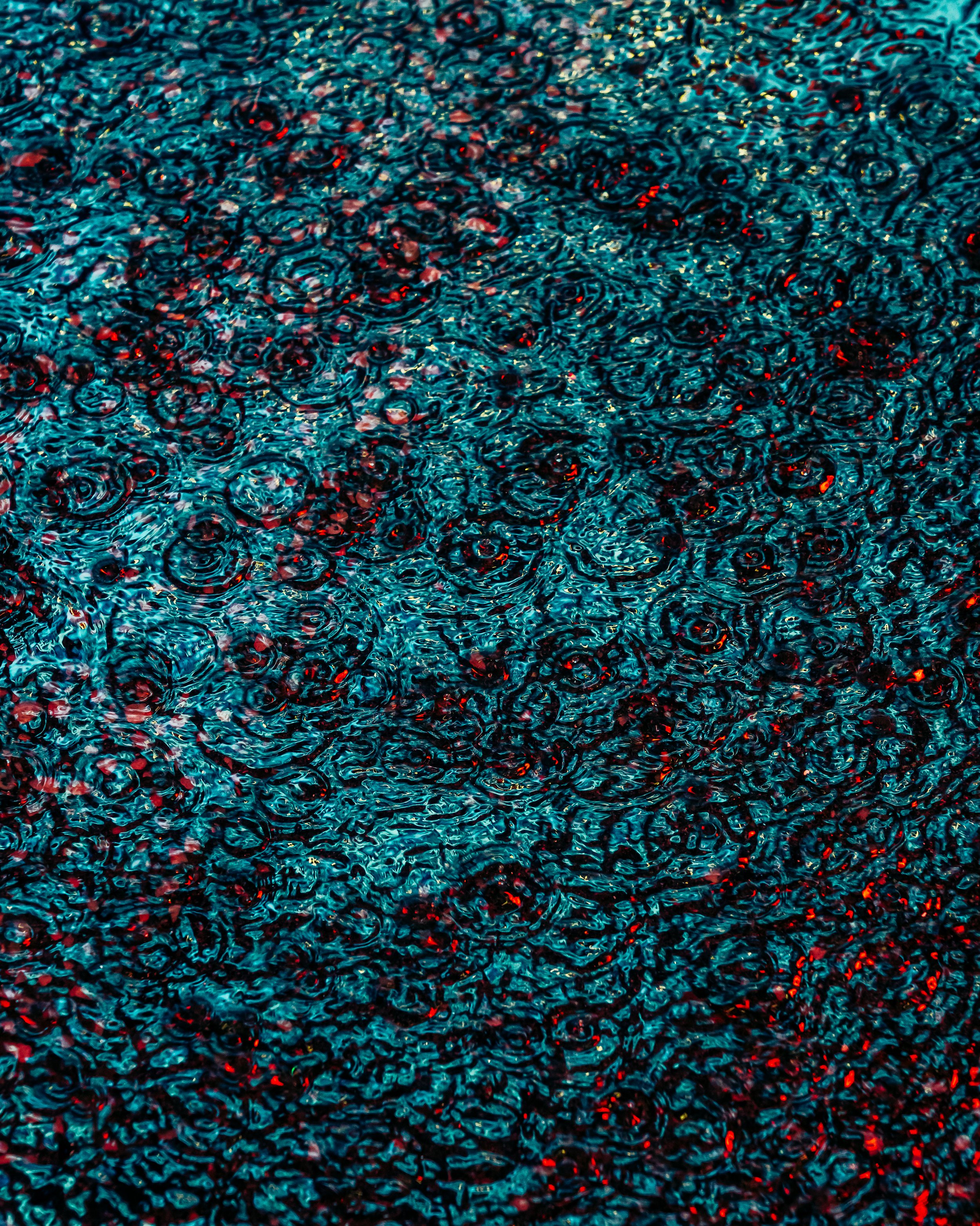 DRIP DROP __ BY DAVE KRUGMAN DRIP #316.jpeg