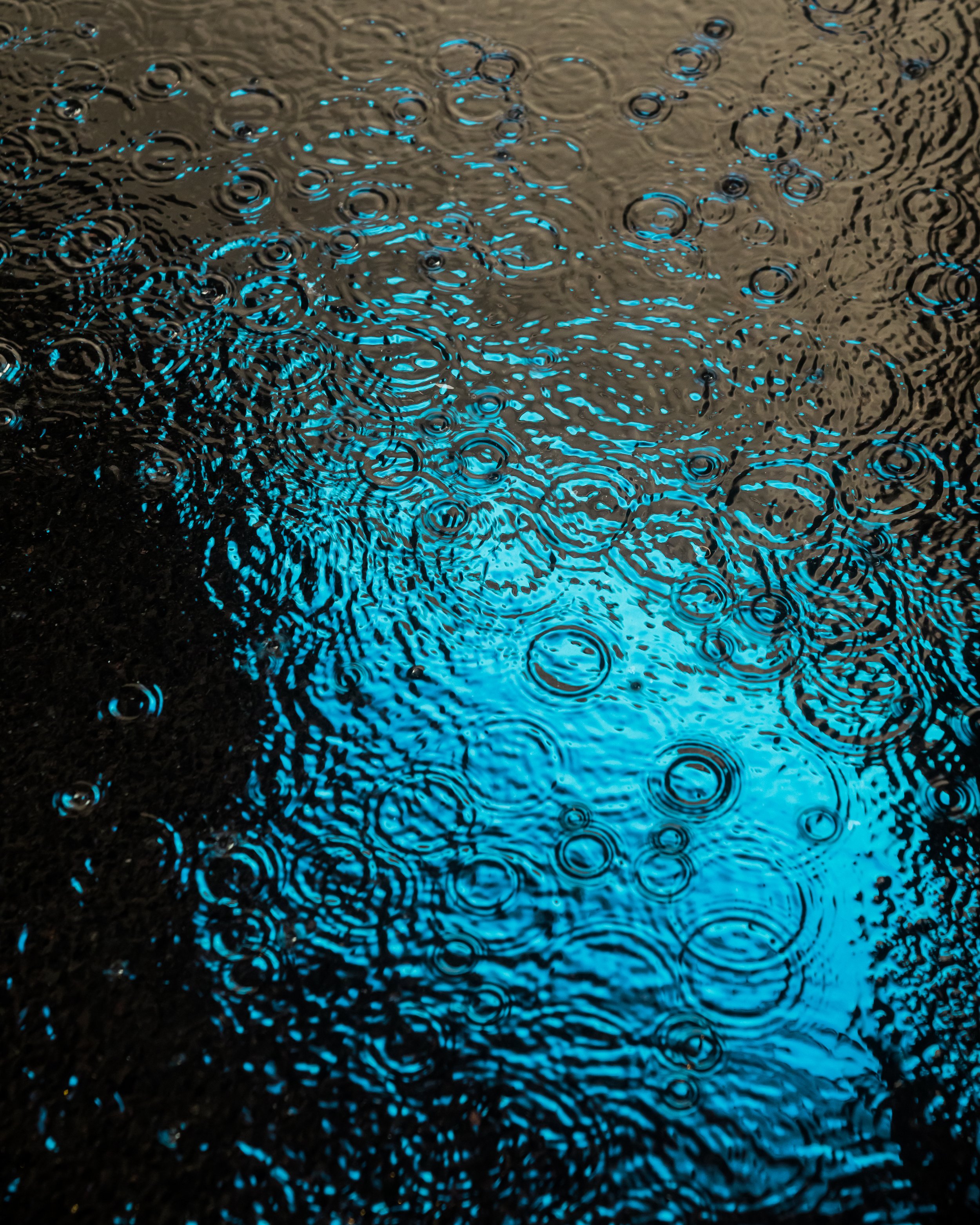 DRIP DROP __ BY DAVE KRUGMAN DRIP #319.jpeg