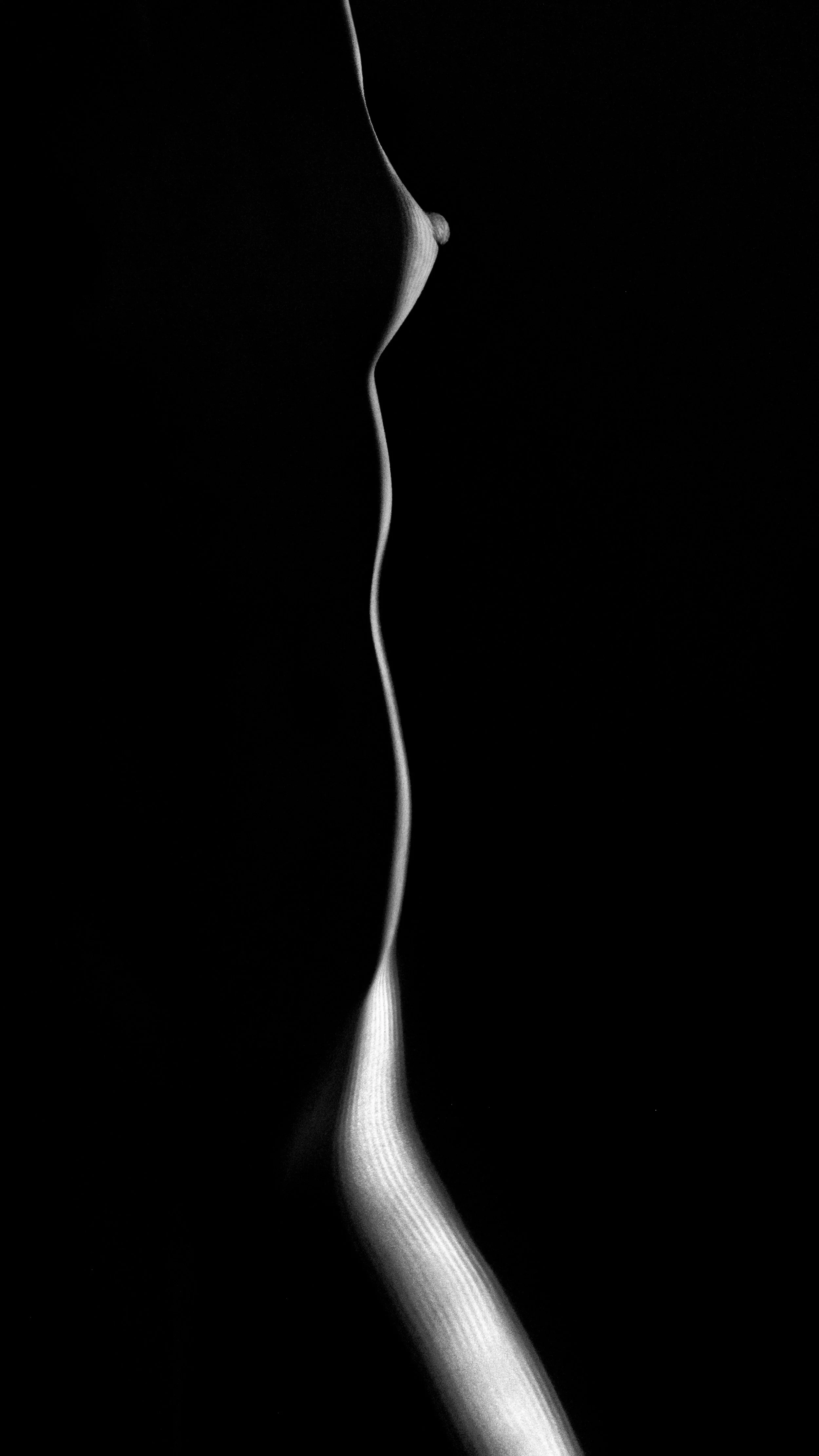 Hrant Khachatryan - She-Bari.jpg