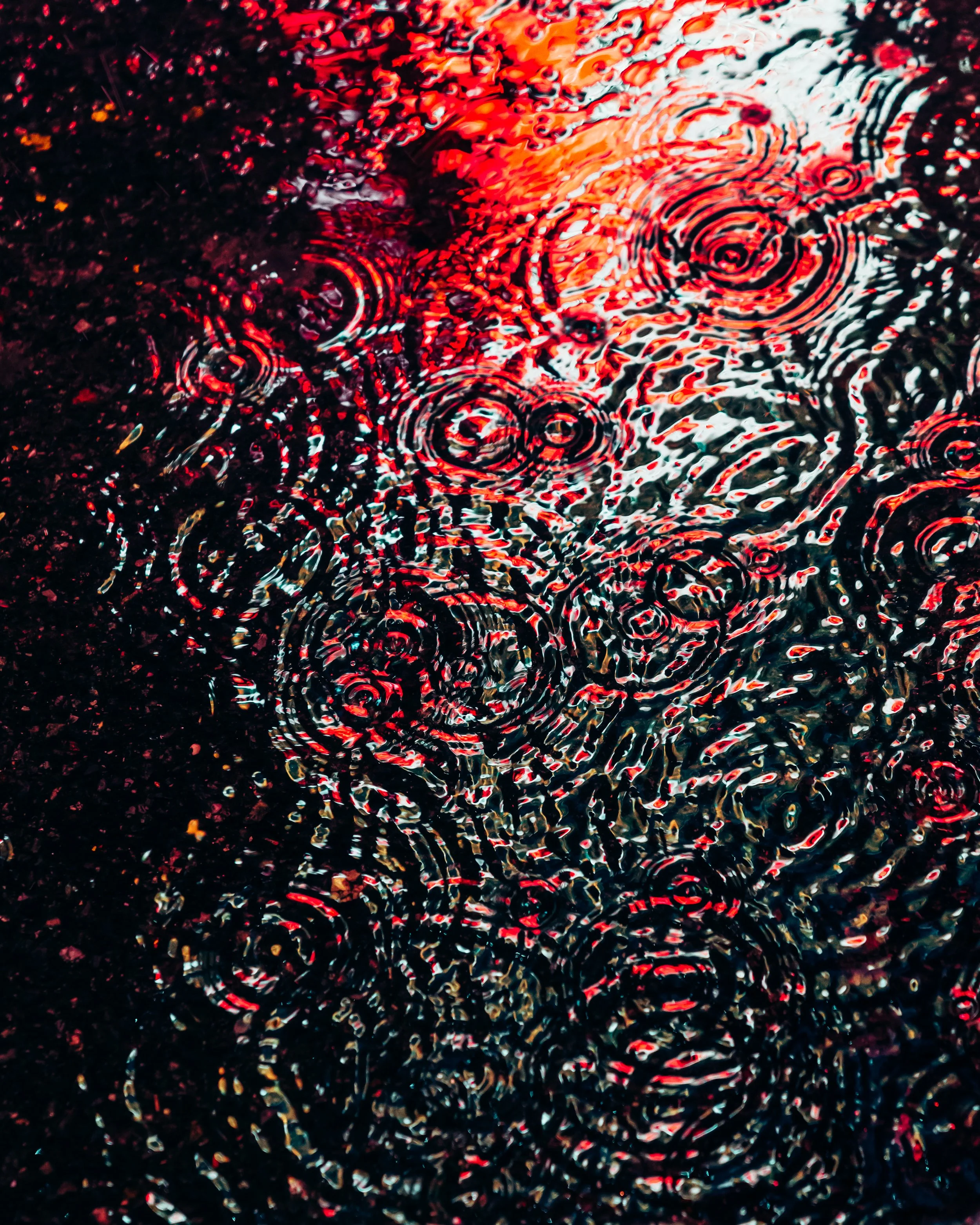 DRIP DROP __ BY DAVE KRUGMAN DRIP #827.jpeg