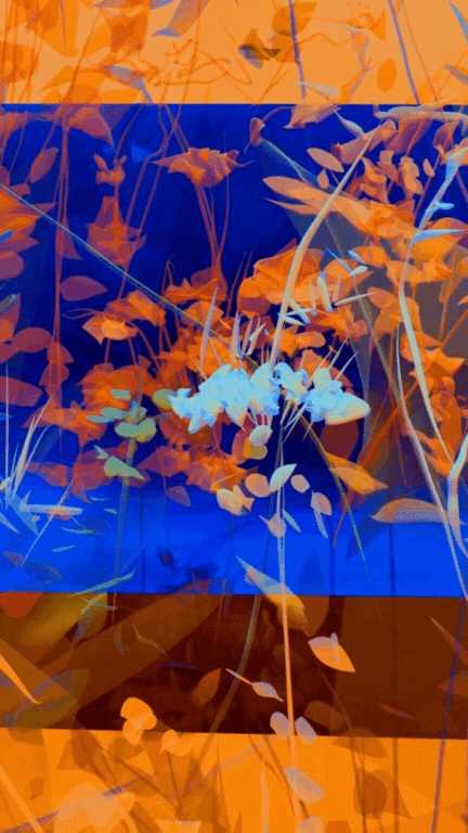 Untitled design (1).gif