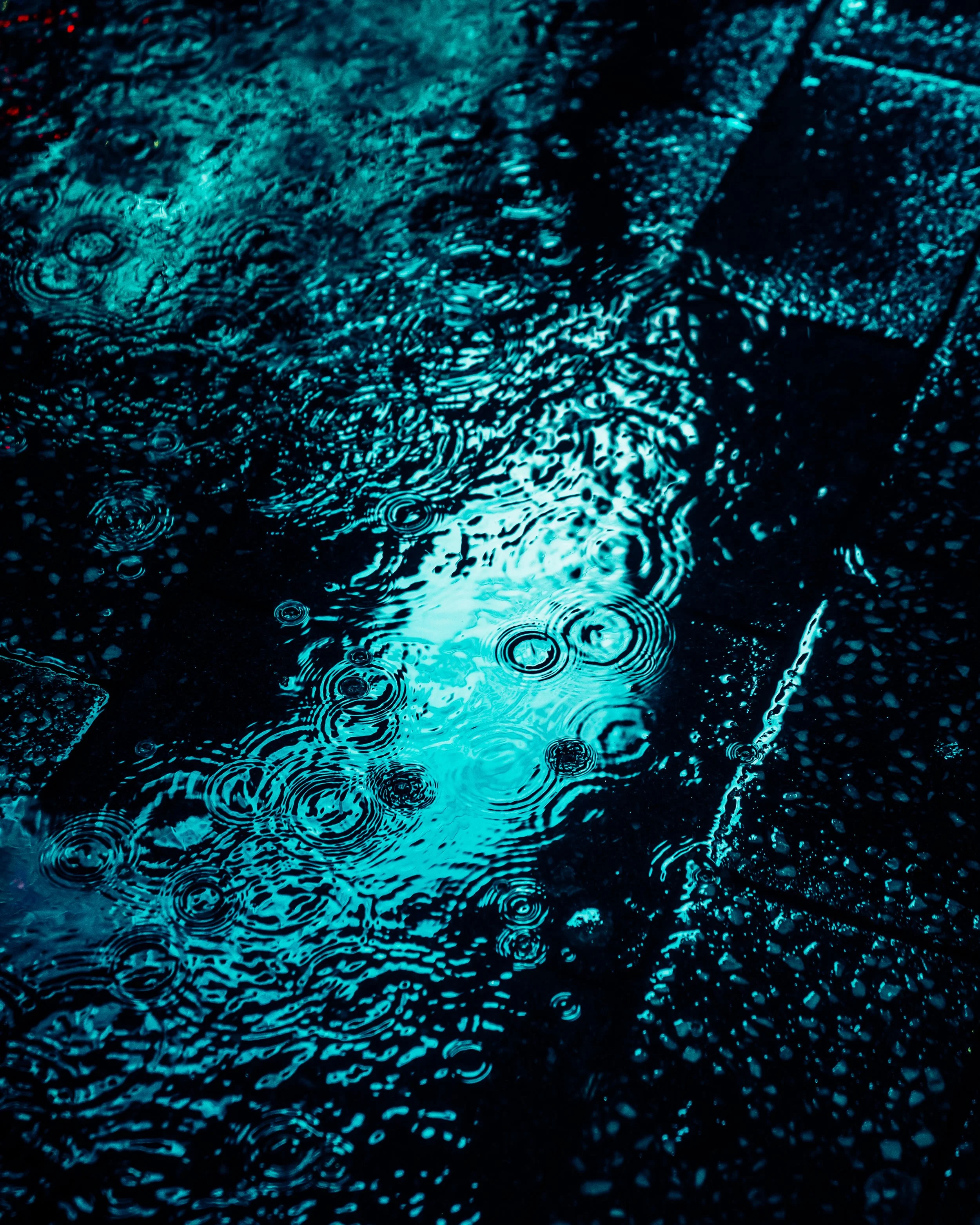 DRIP DROP __ BY DAVE KRUGMAN DRIP #947.jpeg