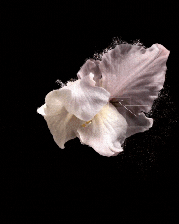 Untitled design (2).gif