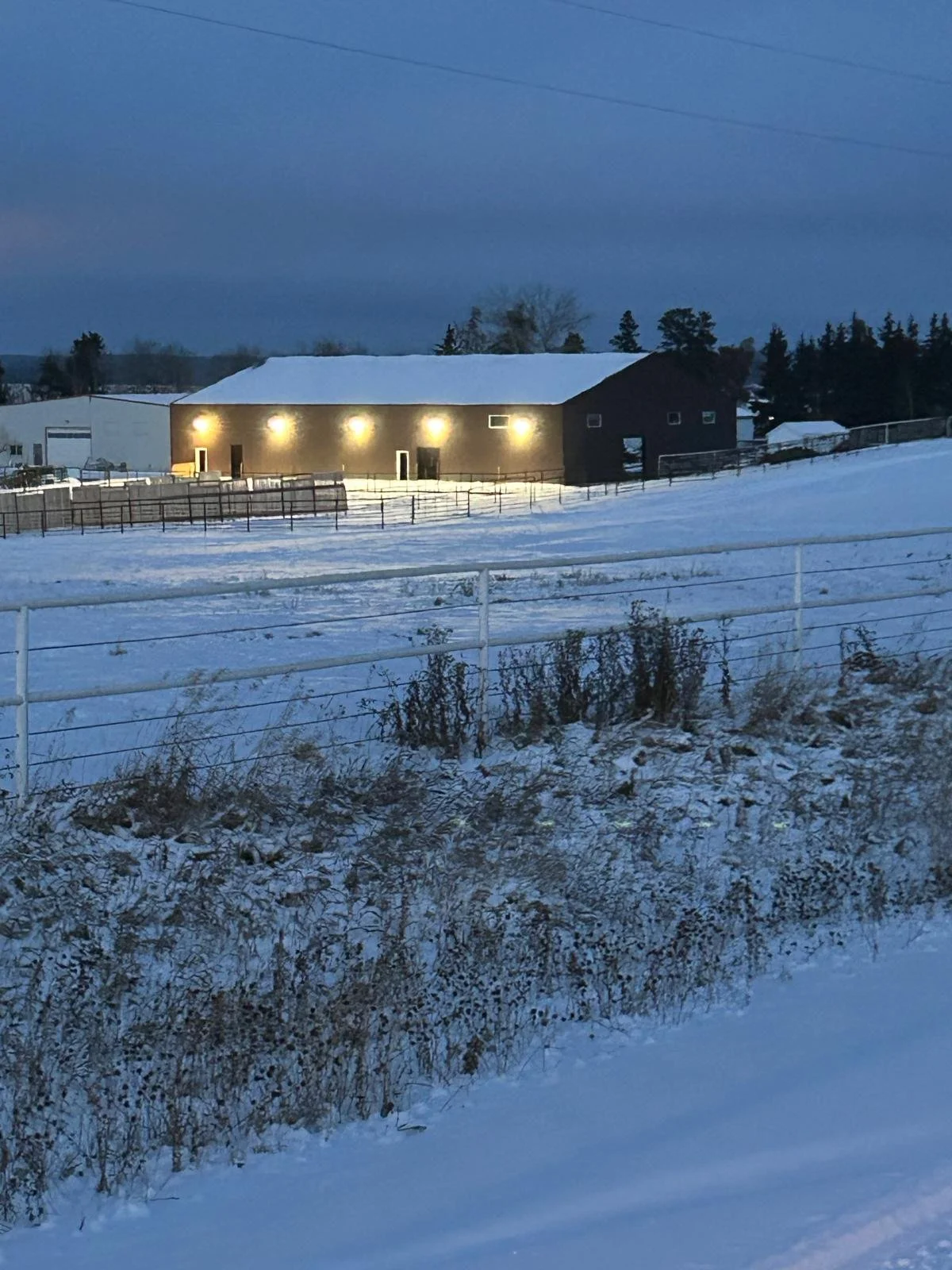 A dark barn illuminated by exterior lights on a snowy landscape at dusk or dawn with trees and buildings in the background.
