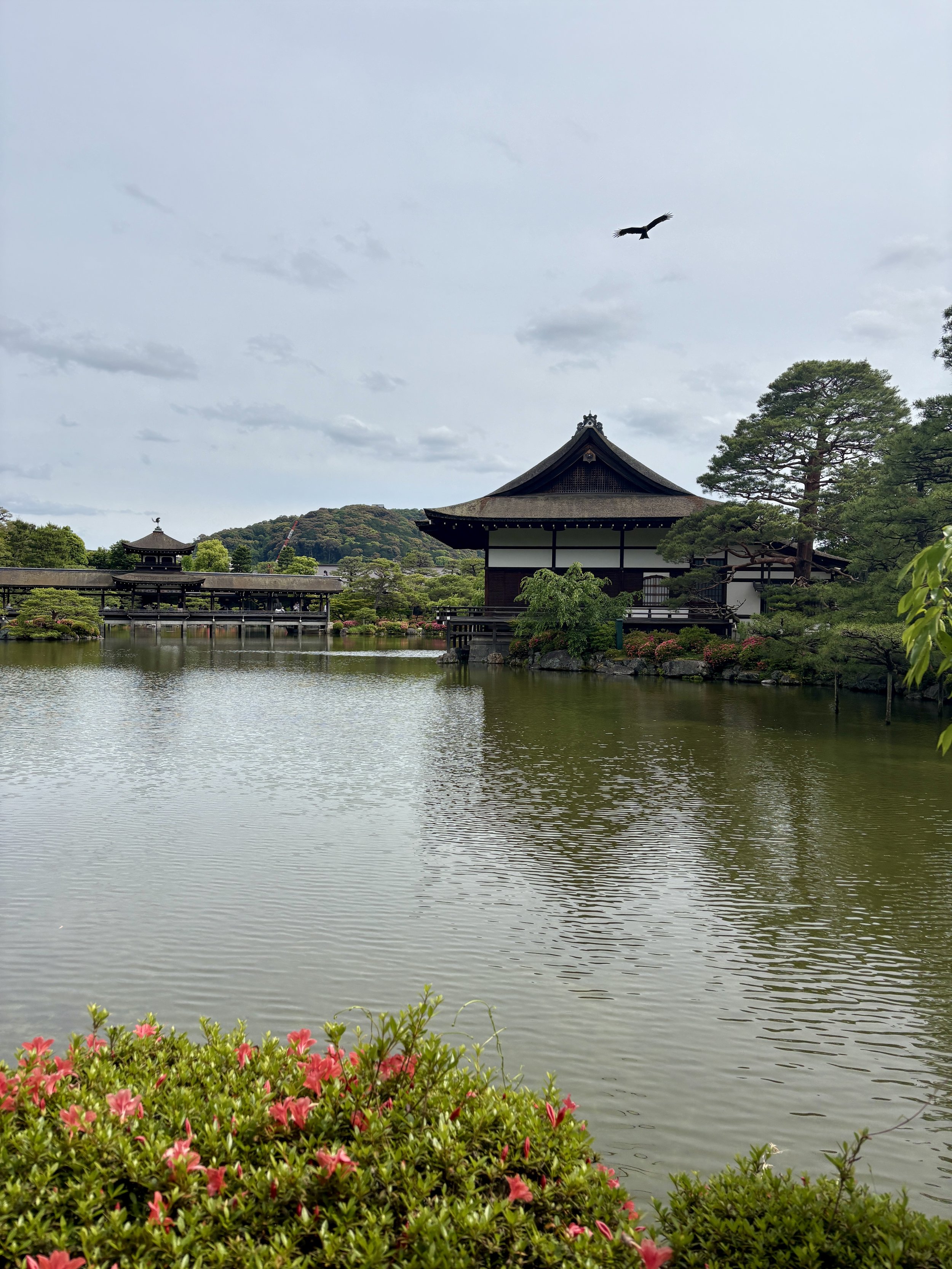 Traditional Japanese temple and scenic garden pond captured during a professional KonMari home organizing retreat