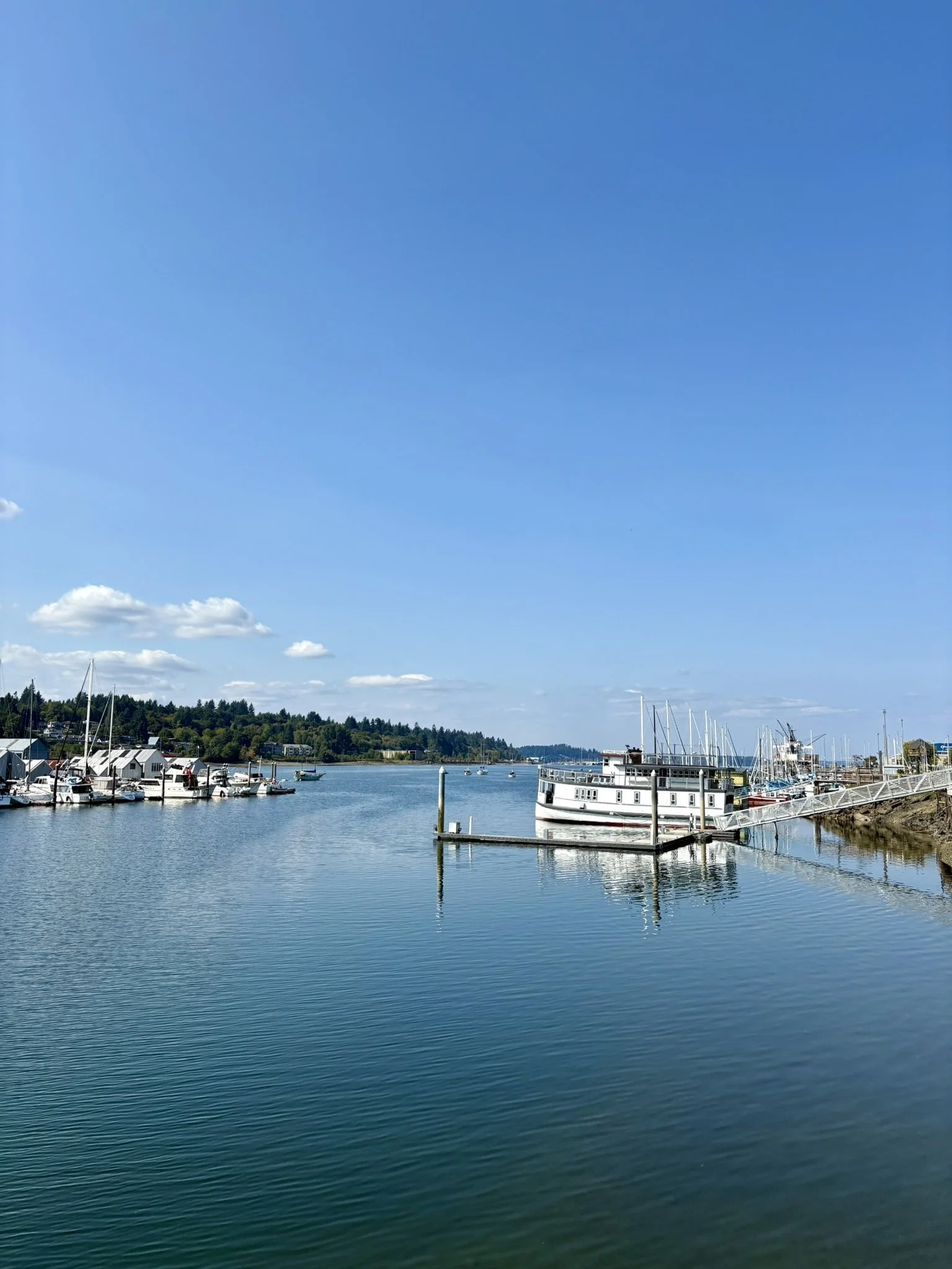 The harbor in downtown Olympia on a clear, sunny day, with boats docked peacefully at the pier under a bright blue sky