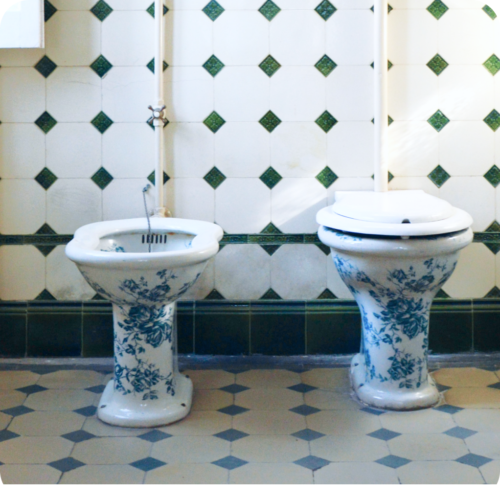 Your Bathroom Made Better: Why Bidets Are a Cleaner, Greener Way to Go