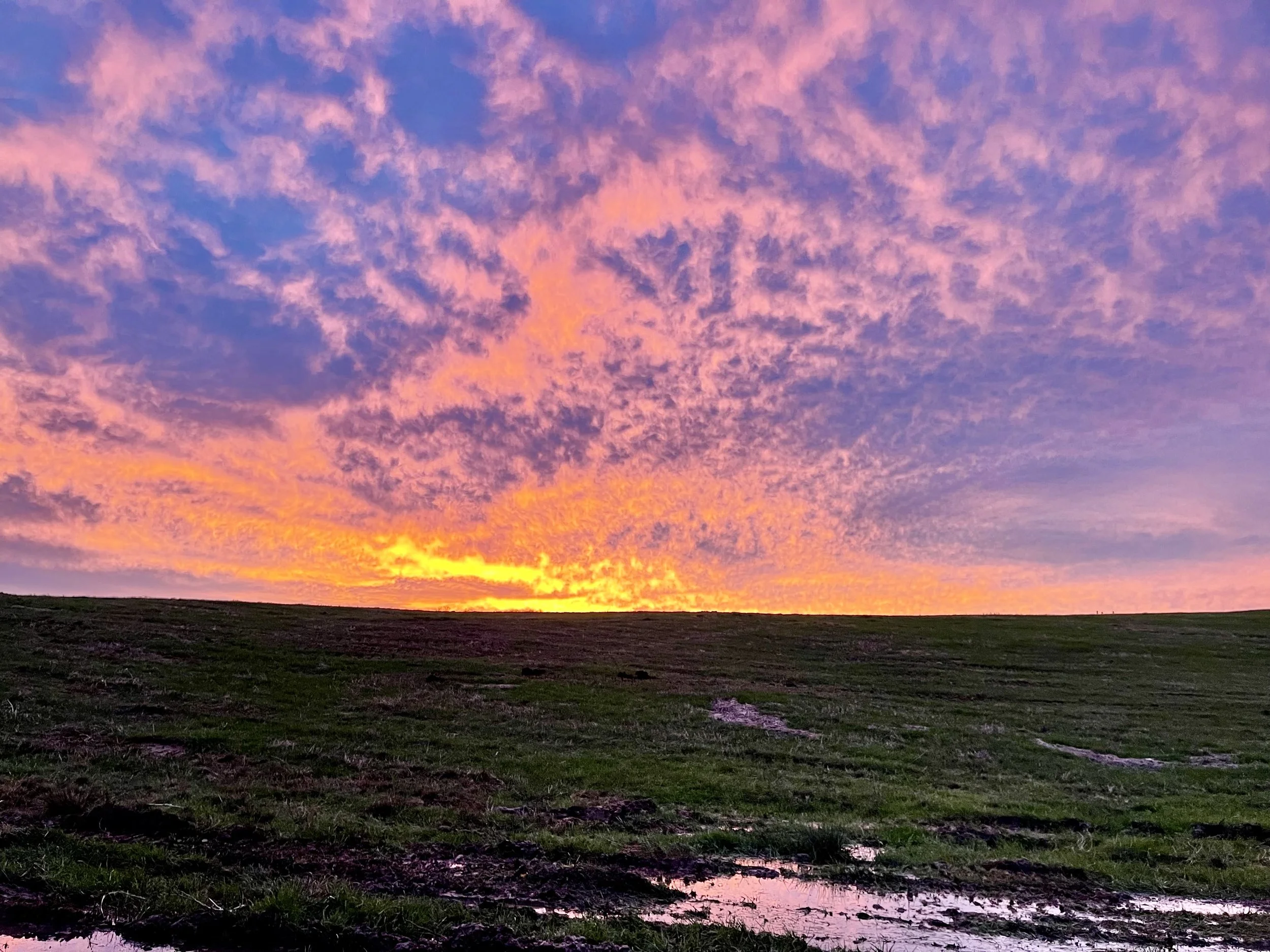 A New Year, Rooted in Gratitude