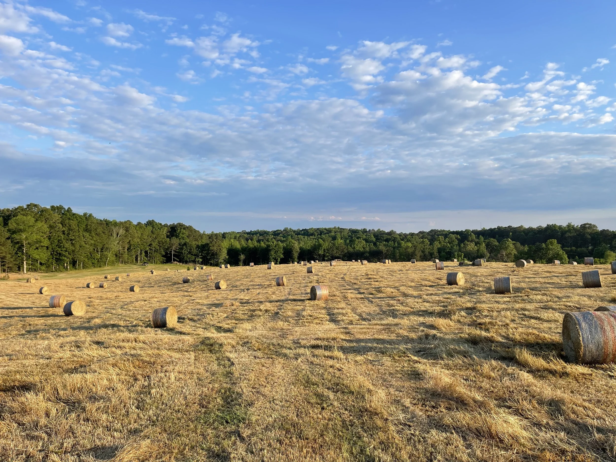 Crooked Creek Ranch Life | Discover Ranching Life Today