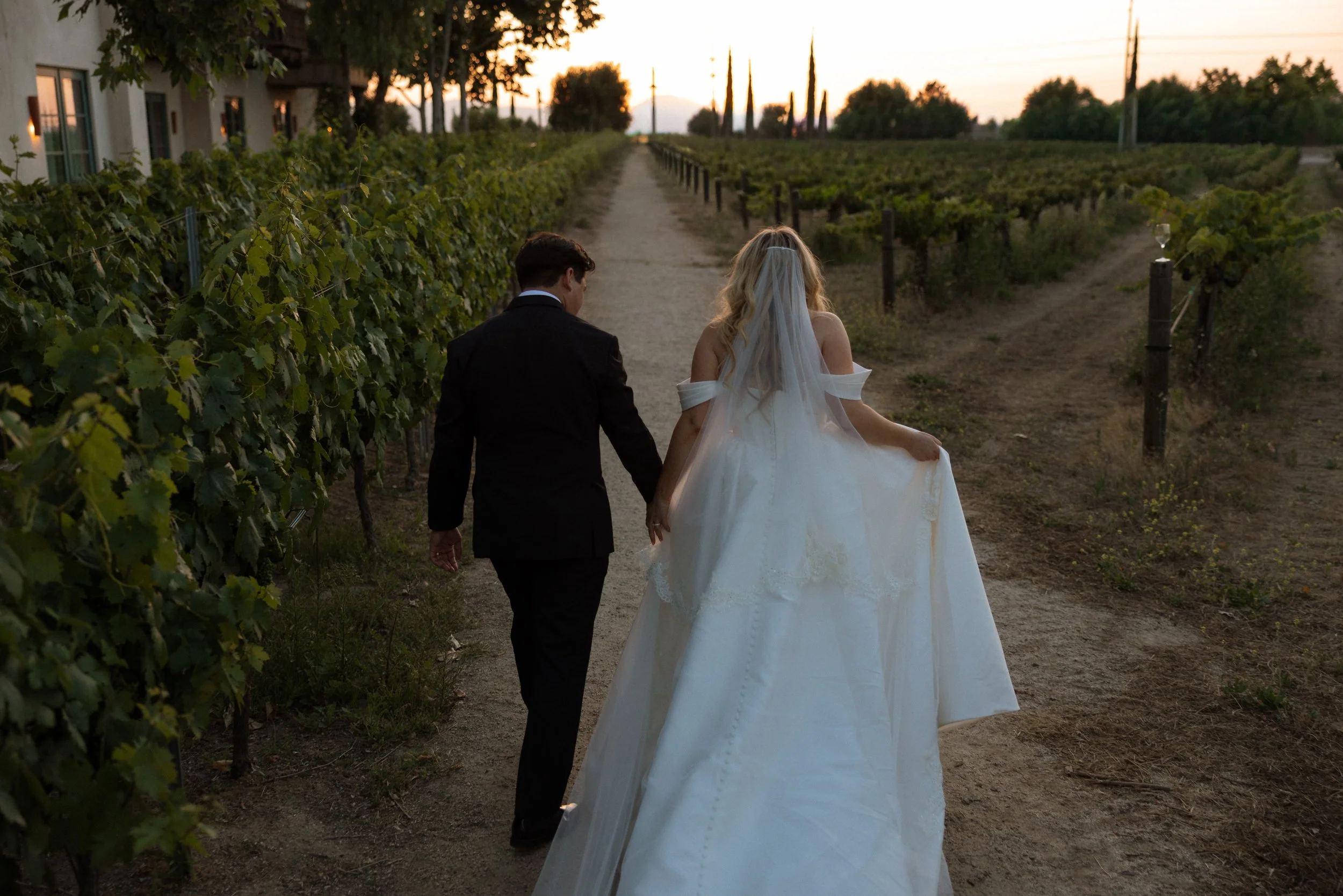 Bride and groom walk away down a vineyard row toward the sunset