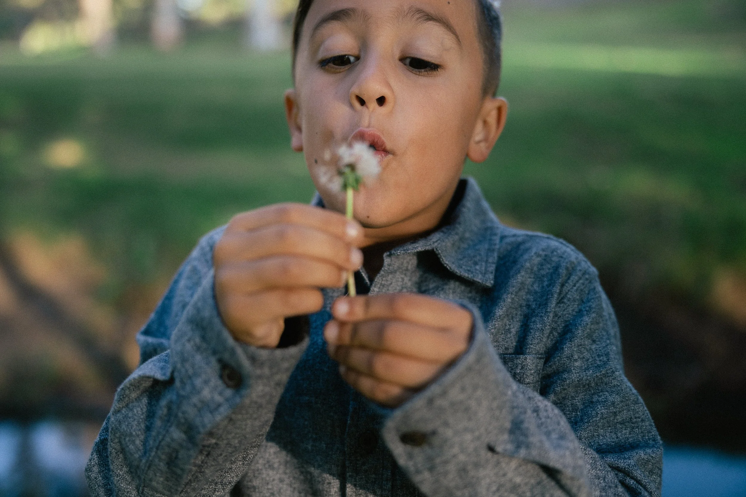 Boy blowing on a dandelion during family photos at Turtle Rock Community Park in Irvine, CA