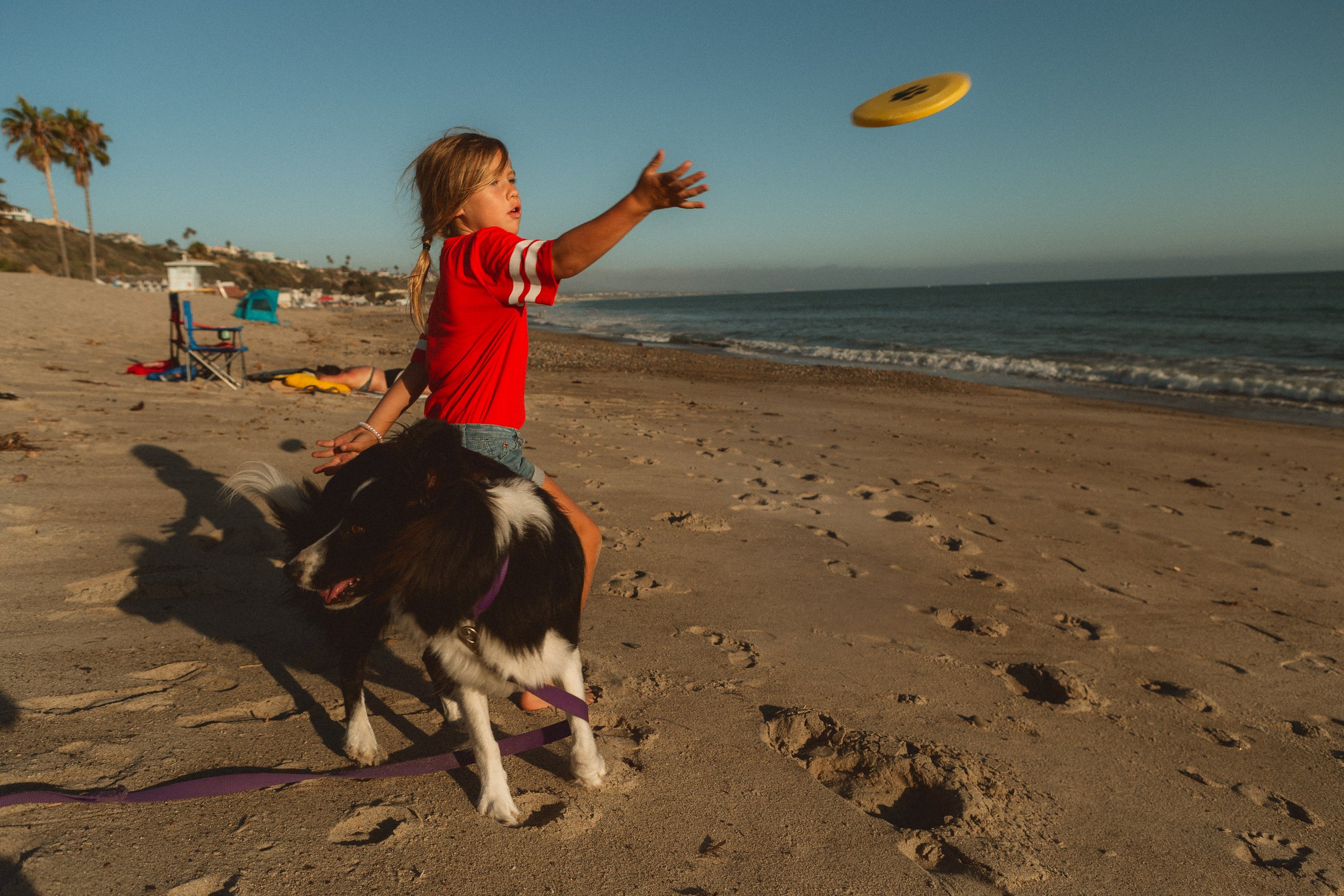 A young girl throwing a frisbee for her border collie on the sand at Doheny State Beach in Dana Point.