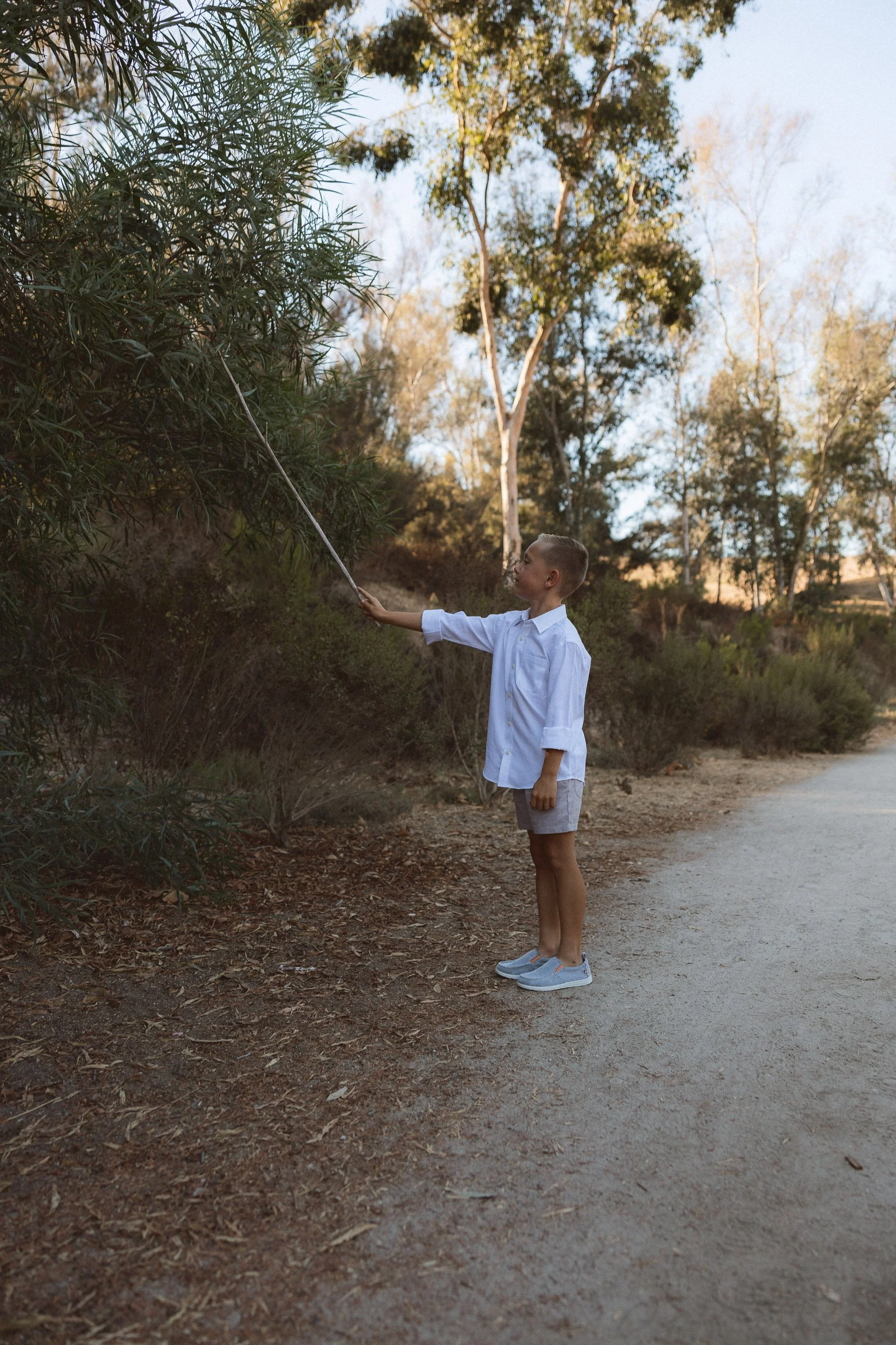 Young kid touching the bushes with a stick.