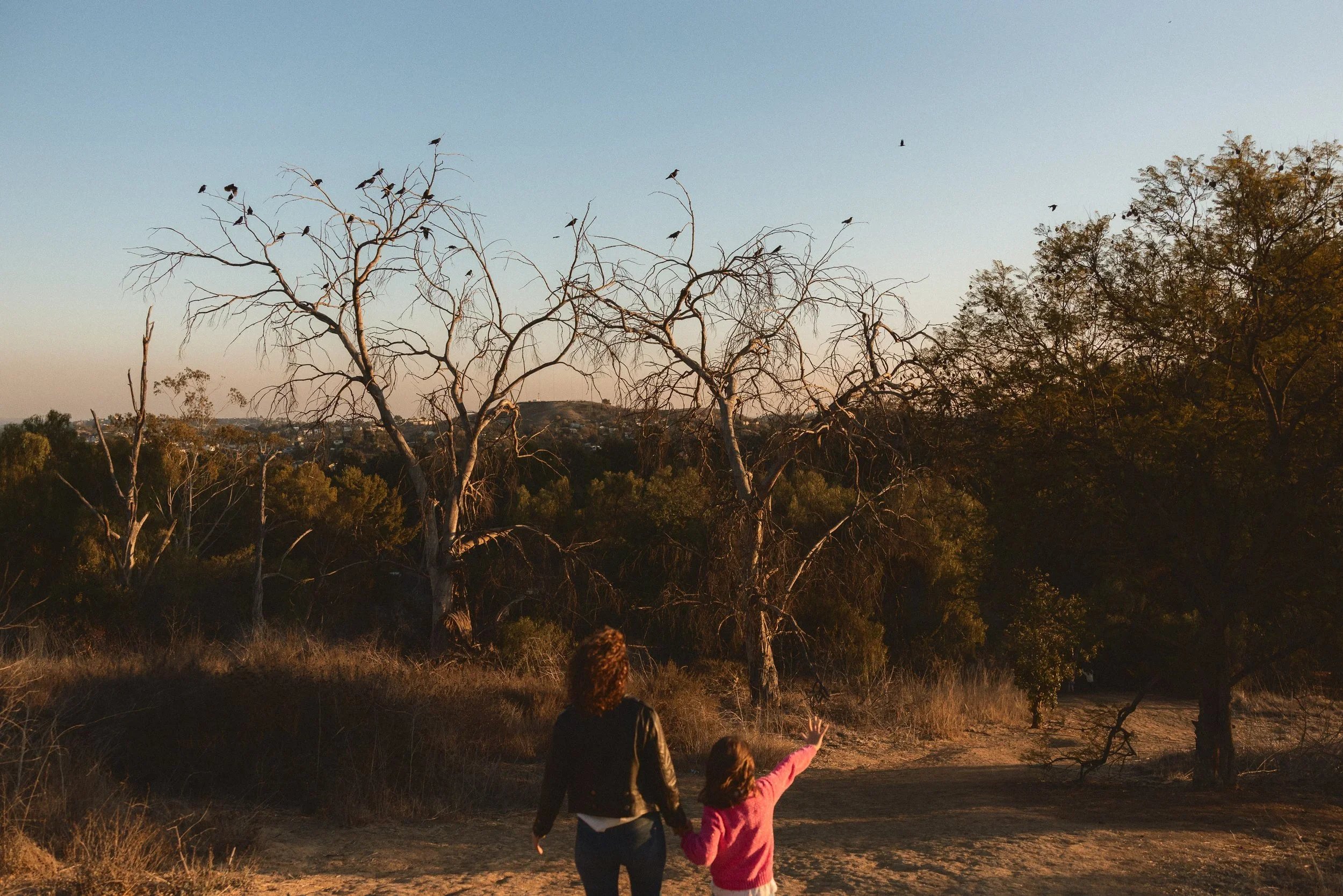 A family of four walking along a hiking trail at sunset with city views in the background at Ernest E. Debs Regional Park in Los Angeles.