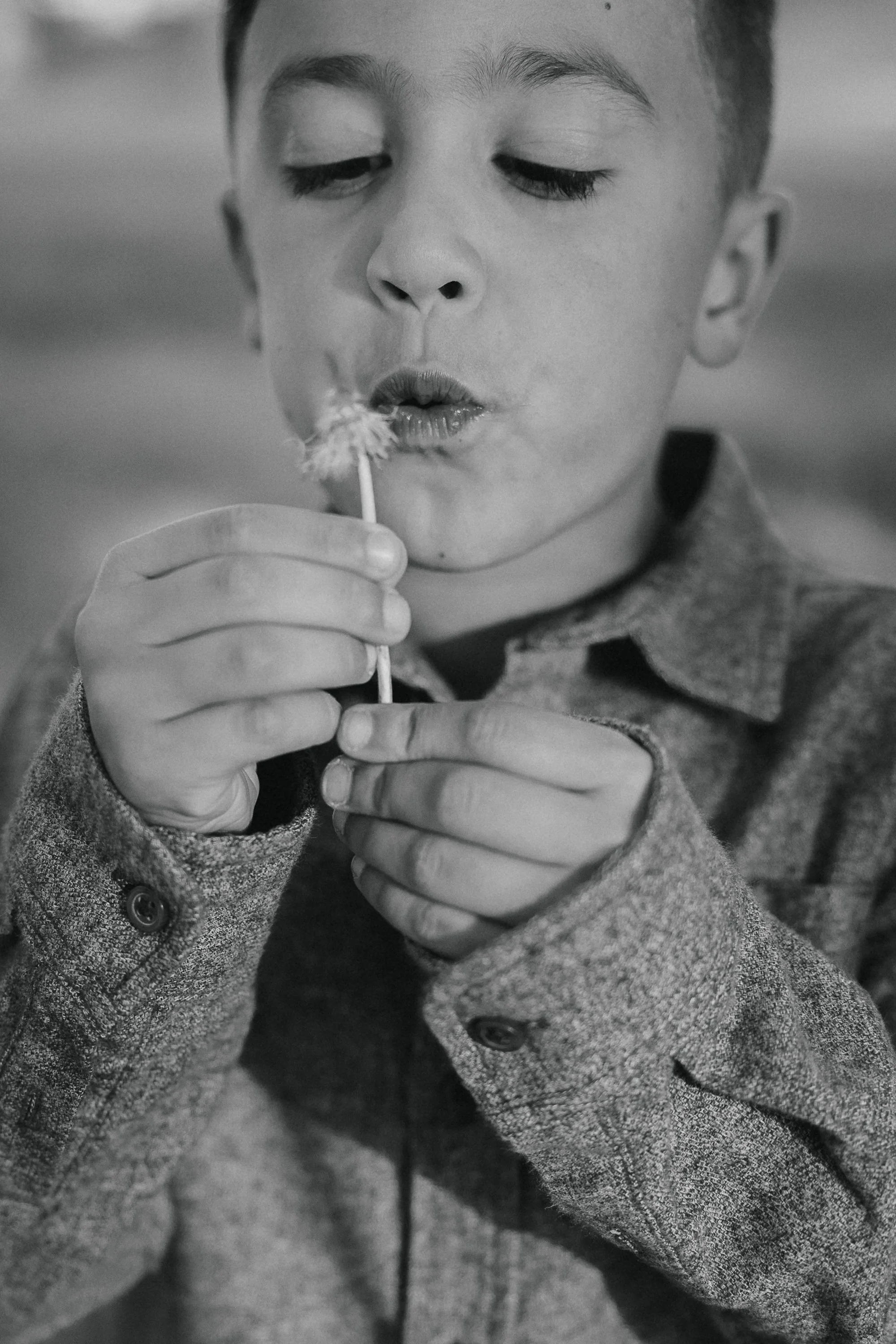 Close-up of a boy blowing on a dandelion seed head.
