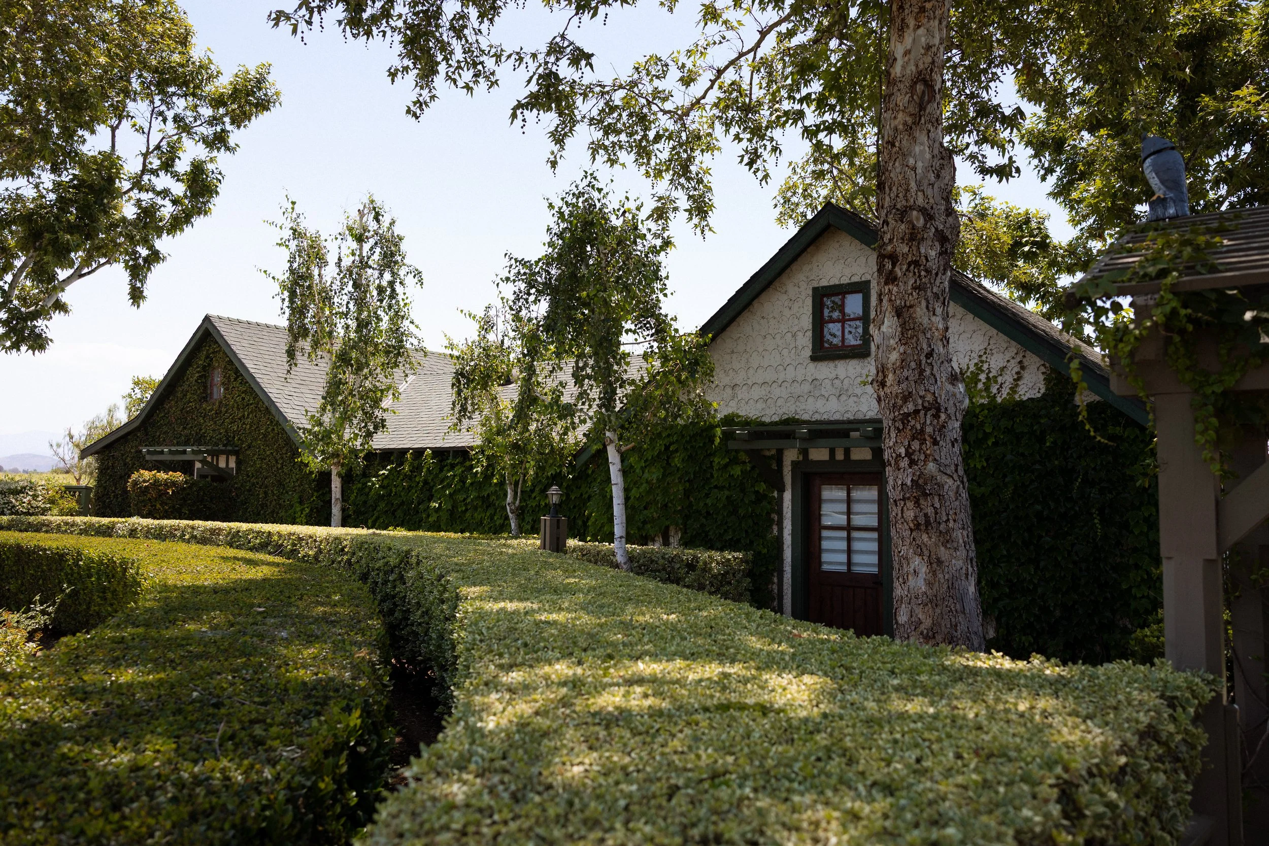 Ivy-covered bridal and grooms suite framed by manicured hedges and trees