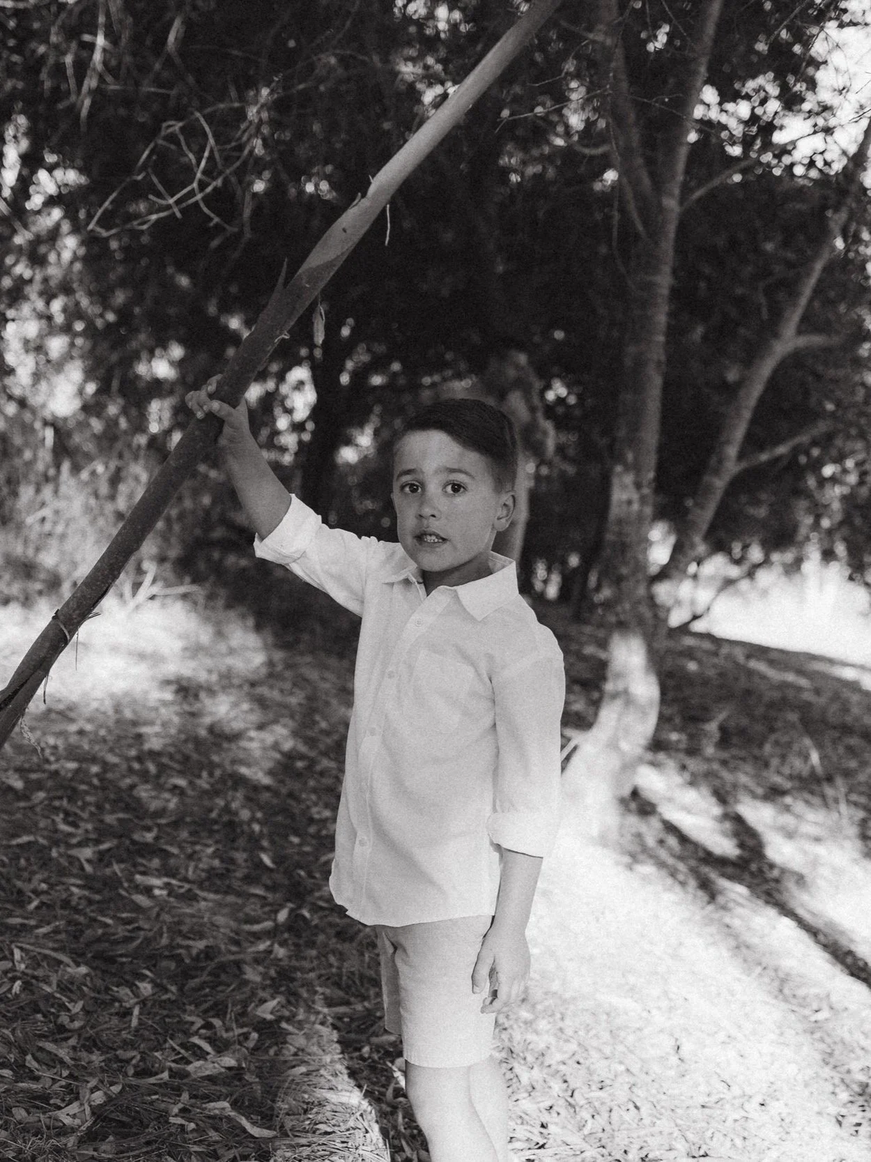 Young boy holding a big stick.