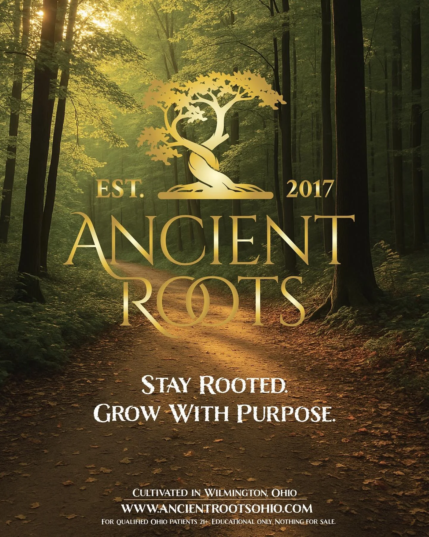 Every path leads back to the roots. Since 2017, Ancient Roots has been cultivating solventless concentrates and craft cannabis in Ohio &mdash; small-batch, hand-trimmed, and terpene-rich, a reflection of our focus on care and quality.

🔗 ancientroot