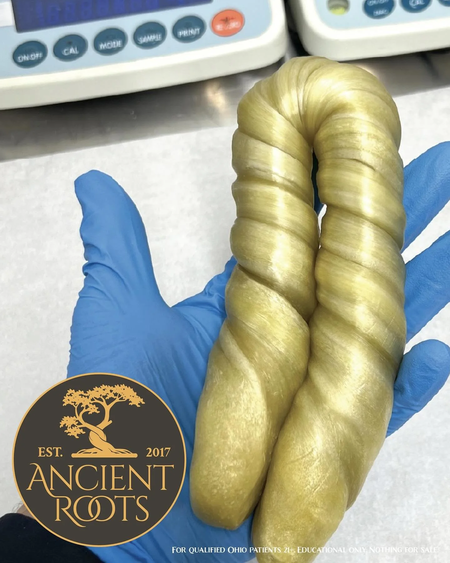 Solventless live rosin in motion &mdash; craft at its best. Each twist tells the story of patient, precise extraction at Ancient Roots &mdash; where flower becomes golden live rosin through nothing but heat, pressure, and time.

🔗 ancientrootsohio.c