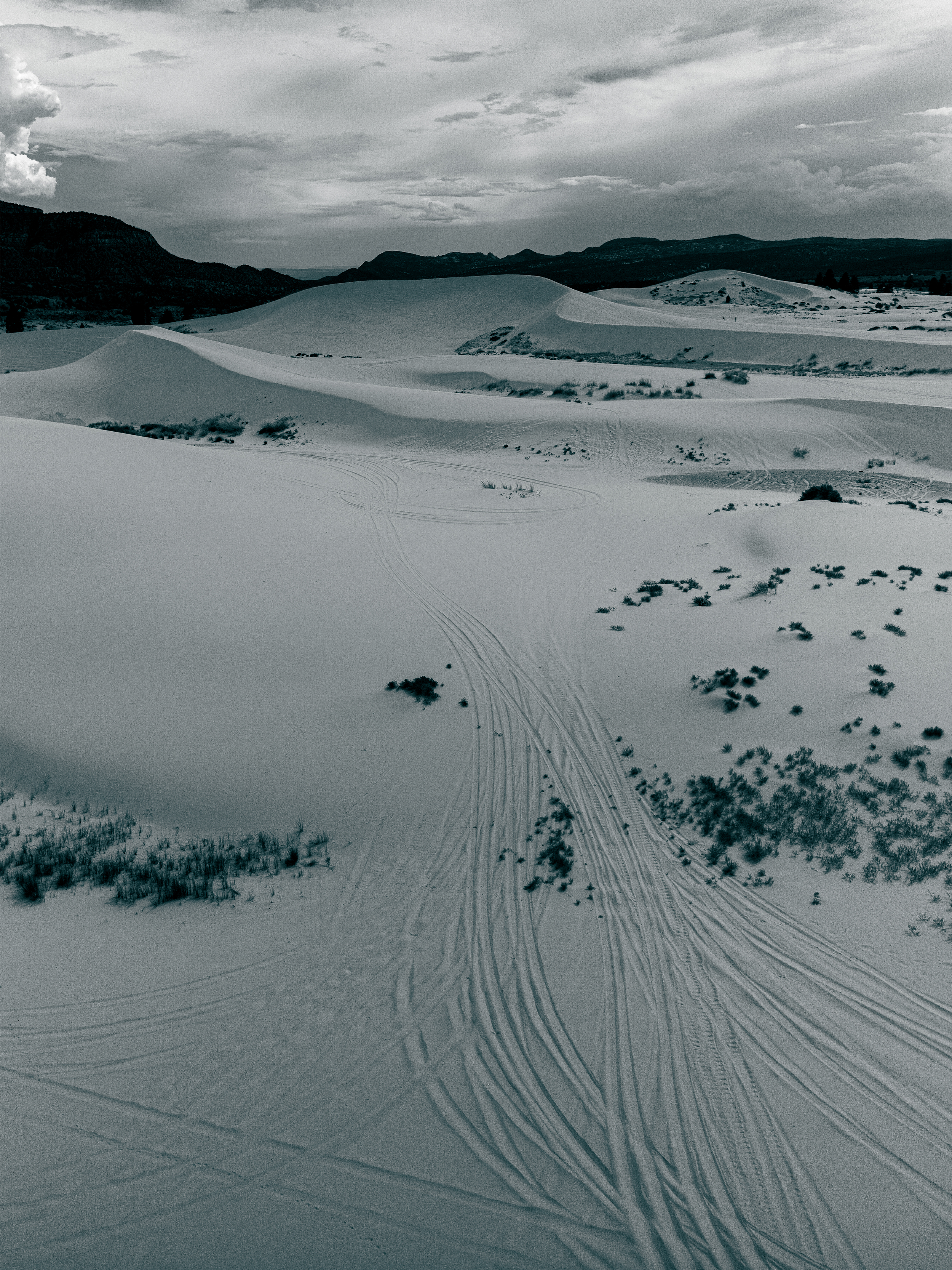 shadows and dust.png