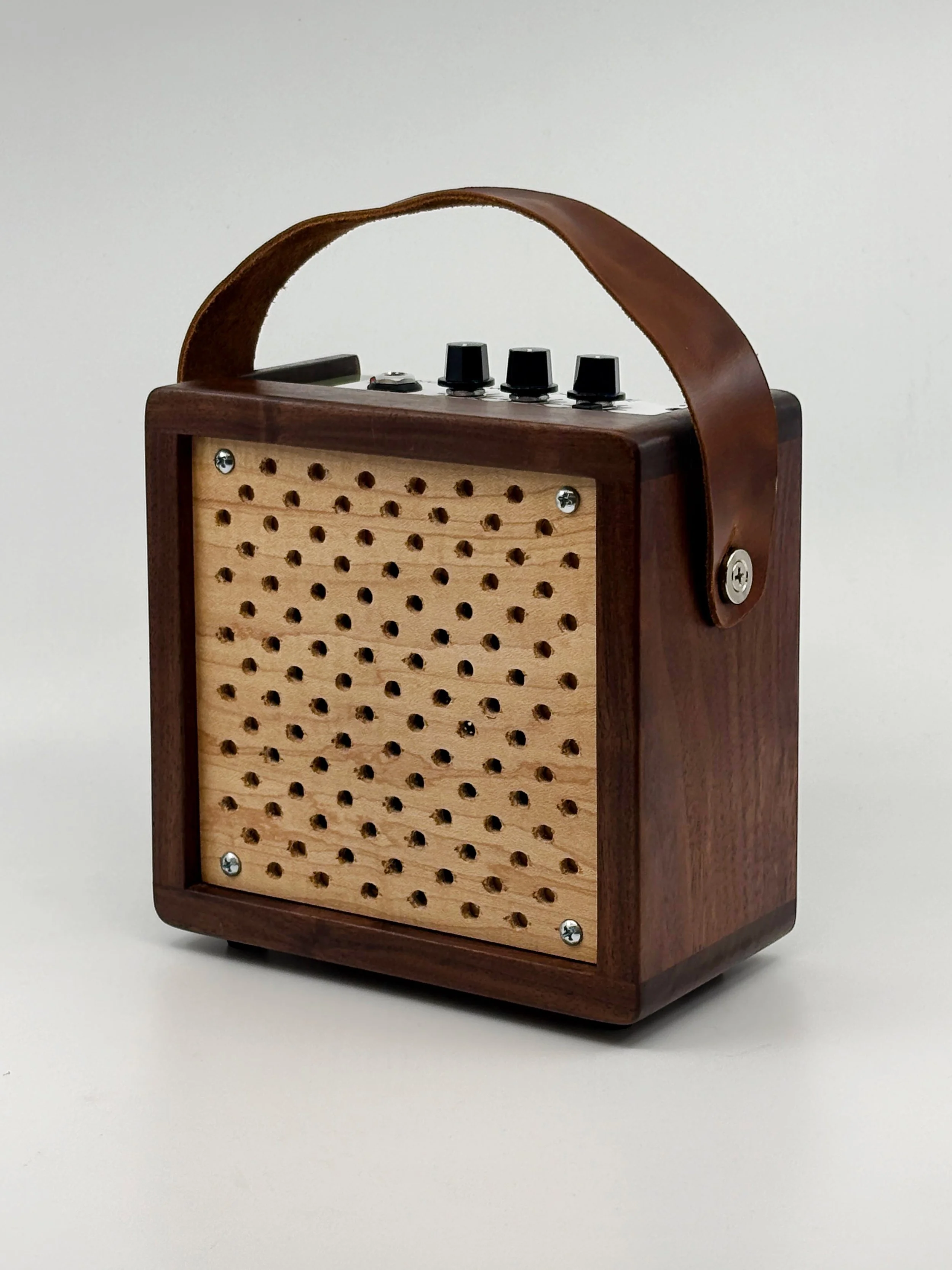 Evergreen Mini Amp 2.jpg