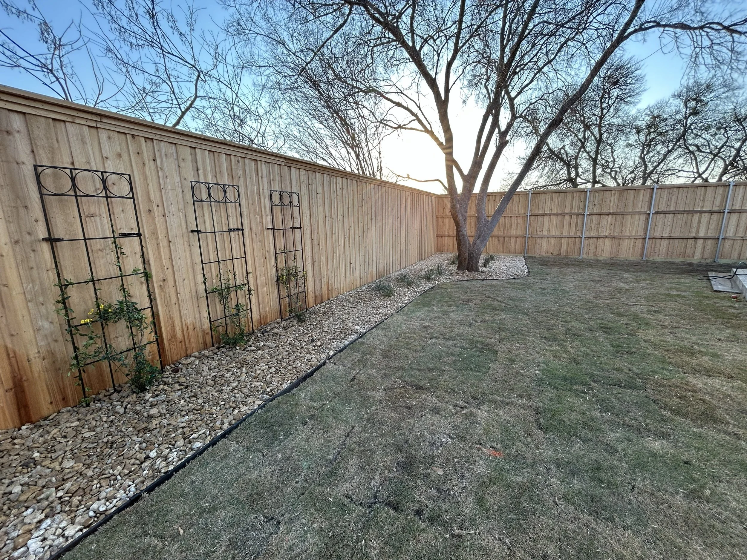 After photo showcasing a clean and new landscape bed, vine & trellis, new sod, and plants