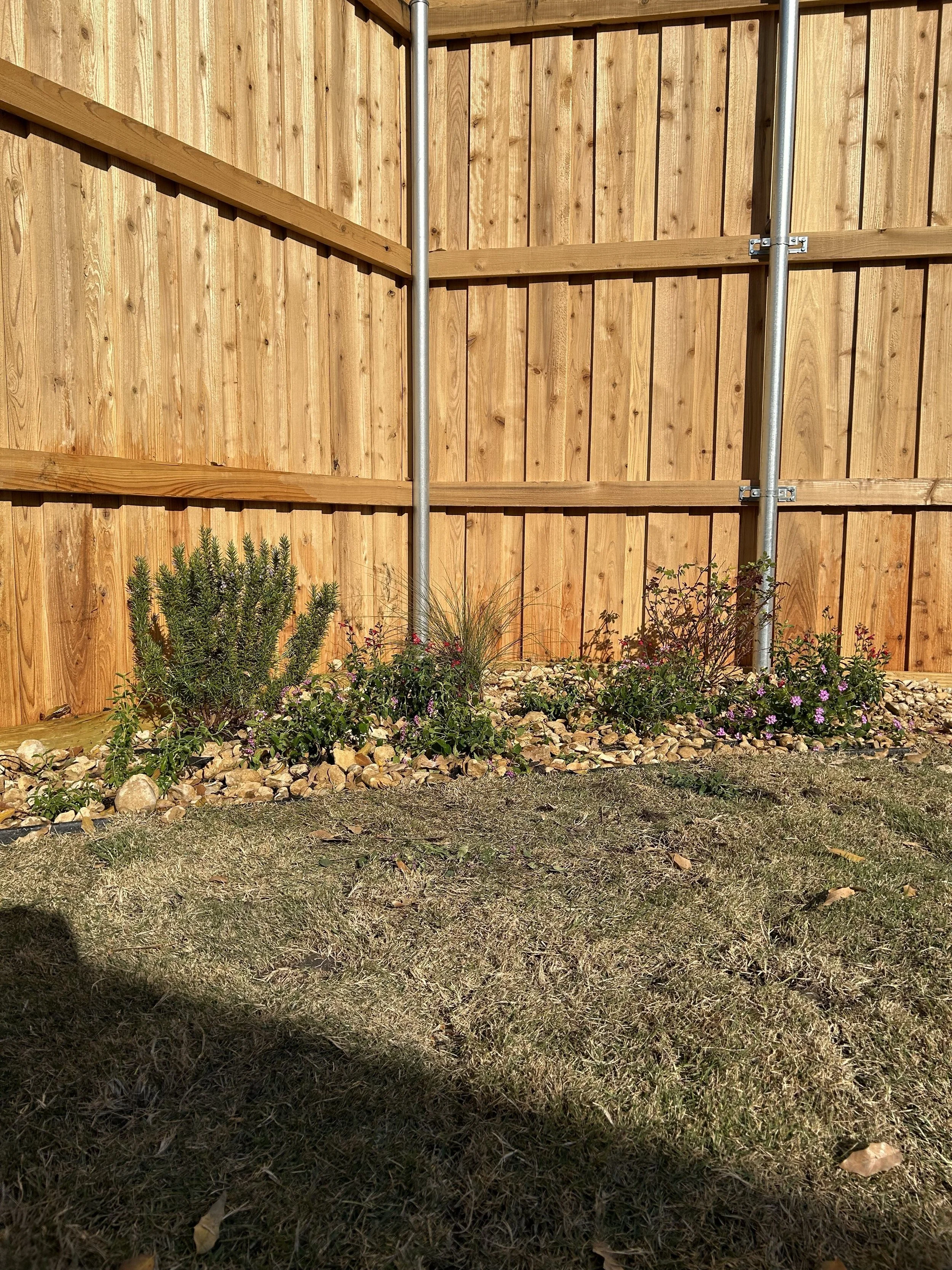 Photo showcasing Texas native butterfly and pollinator landscape bed
