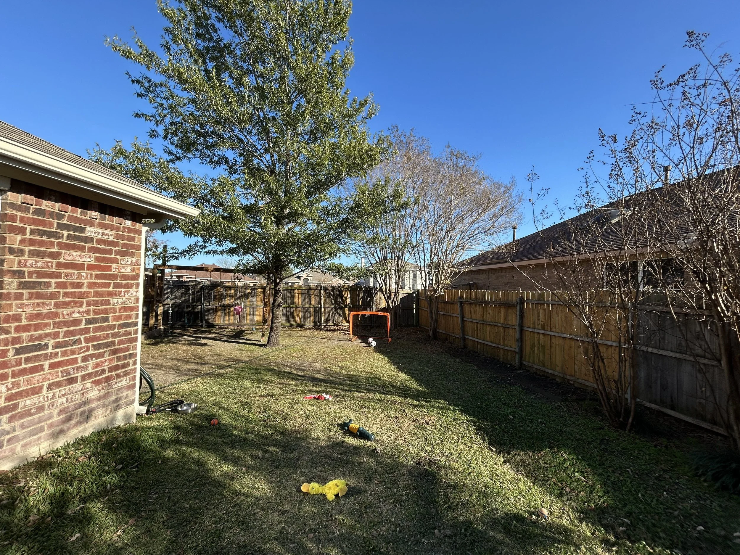 Before picture of back yard lawn/play area