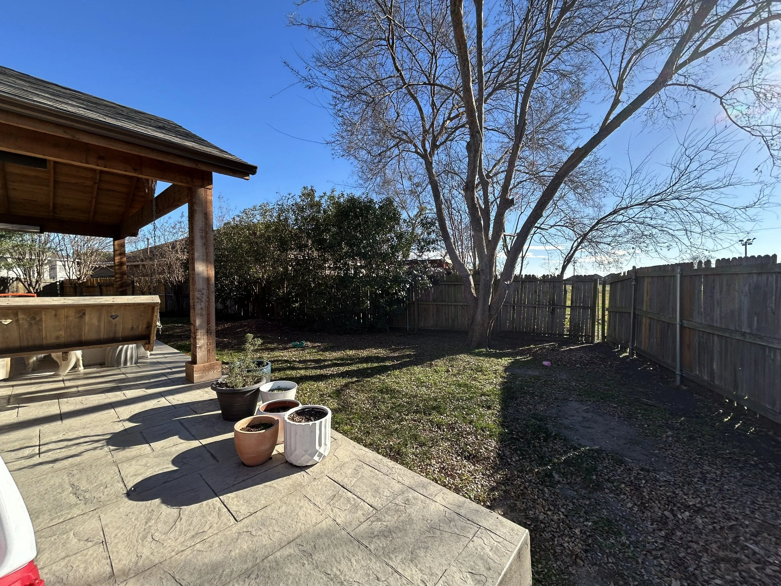 Before photo of messy back yard in Rowlett