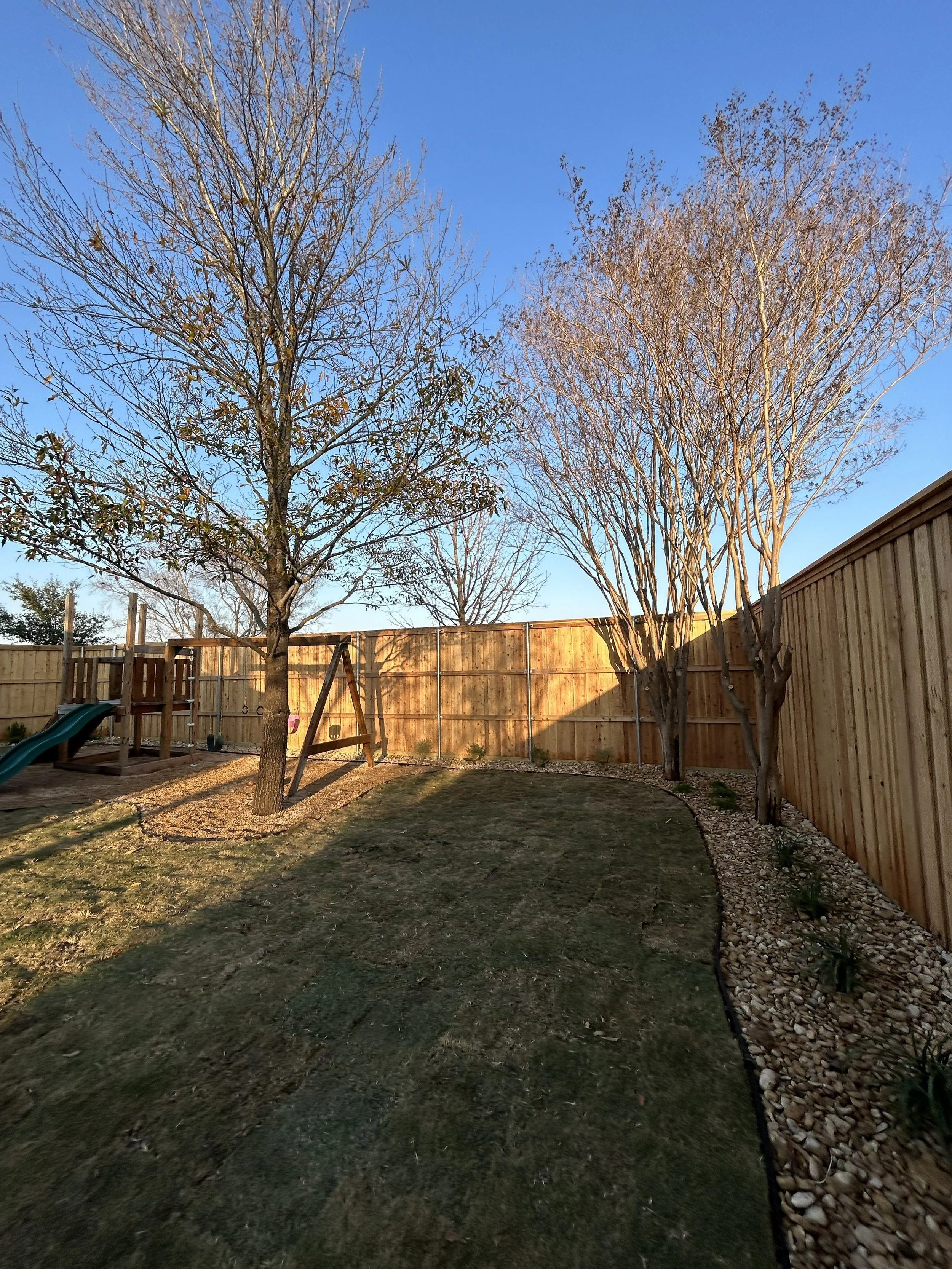 After photo of landscape installation showcasing new grass, plants, and trimmed trees 