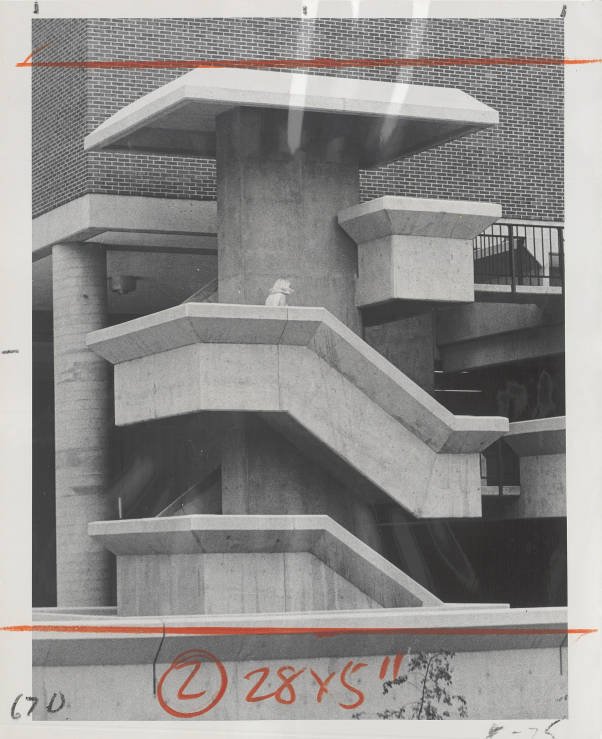 Stairs in front of Crosley Tower and building A-3