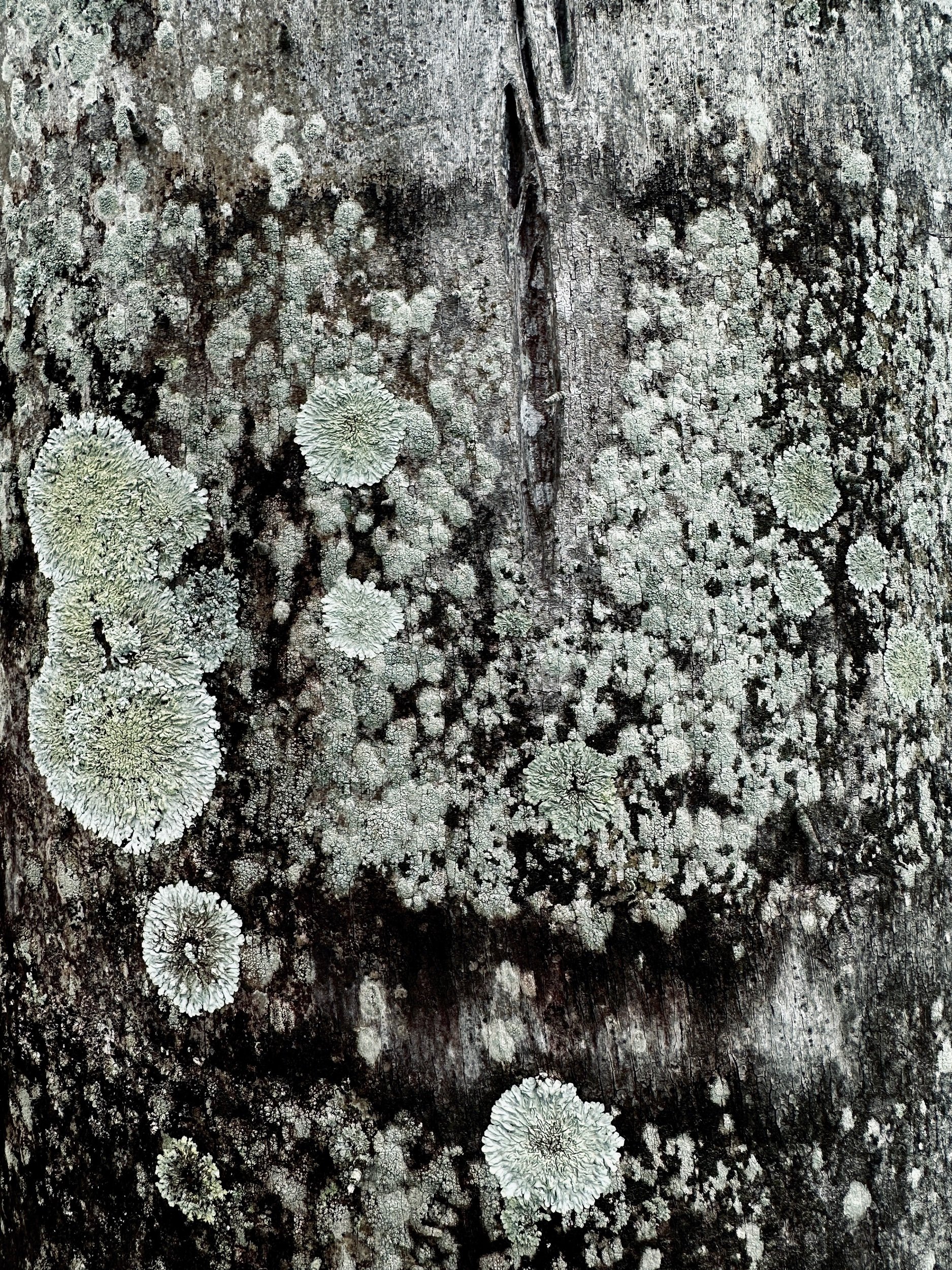 395947B5-46C7-40F4-A757-63B42E099758.jpeg
